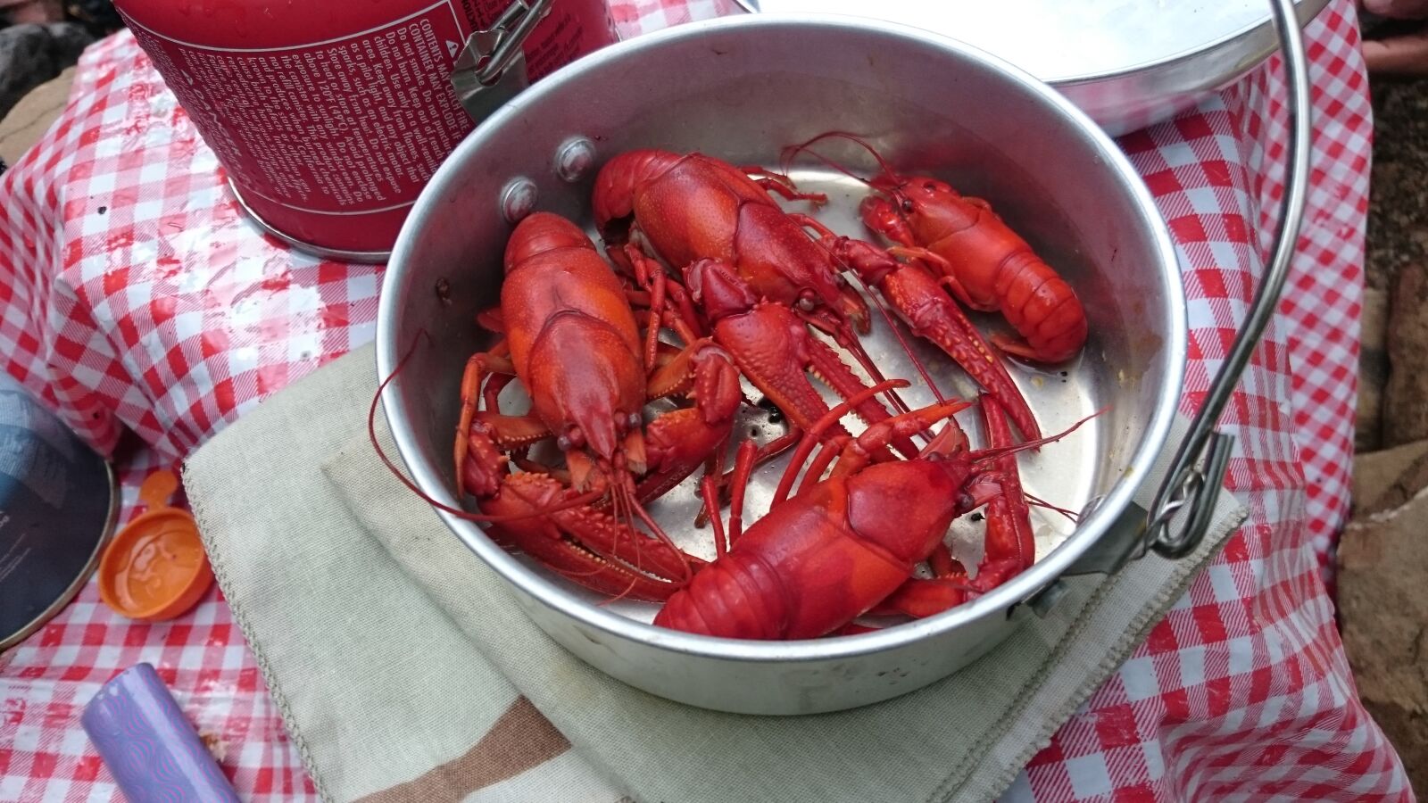 Sony Xperia Z3 Compact sample photo. Crayfish photography