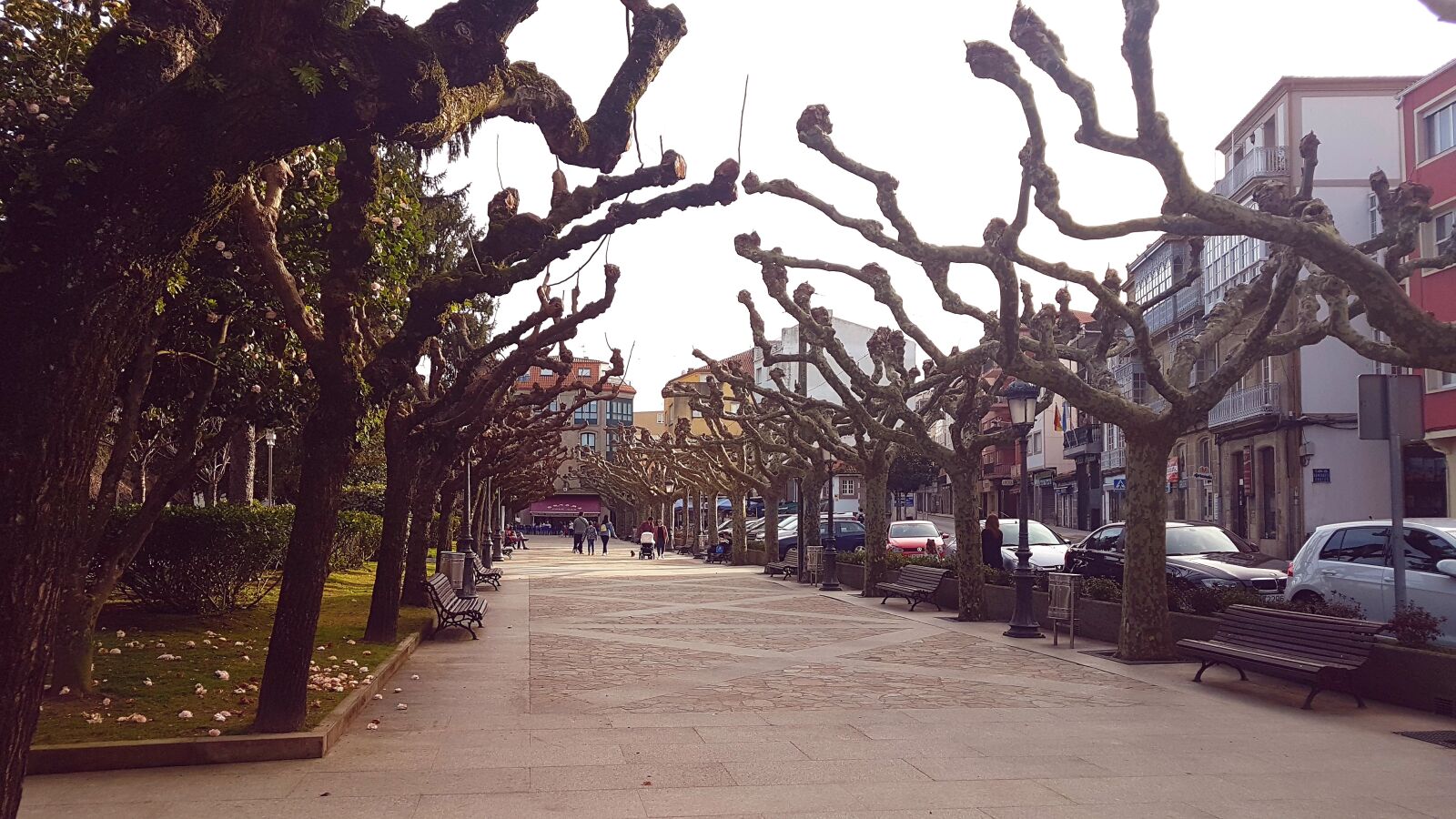 Samsung Galaxy S7 sample photo. Park, the puebla, galicia photography