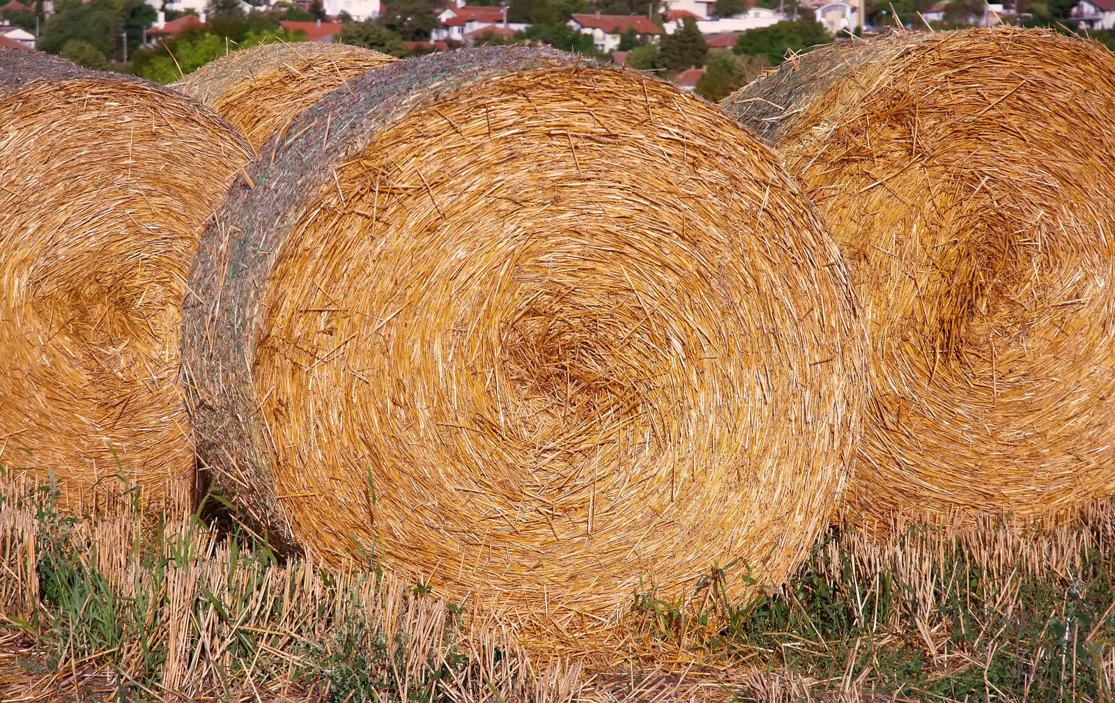 Nikon D7200 sample photo. Round, barley, stack photography