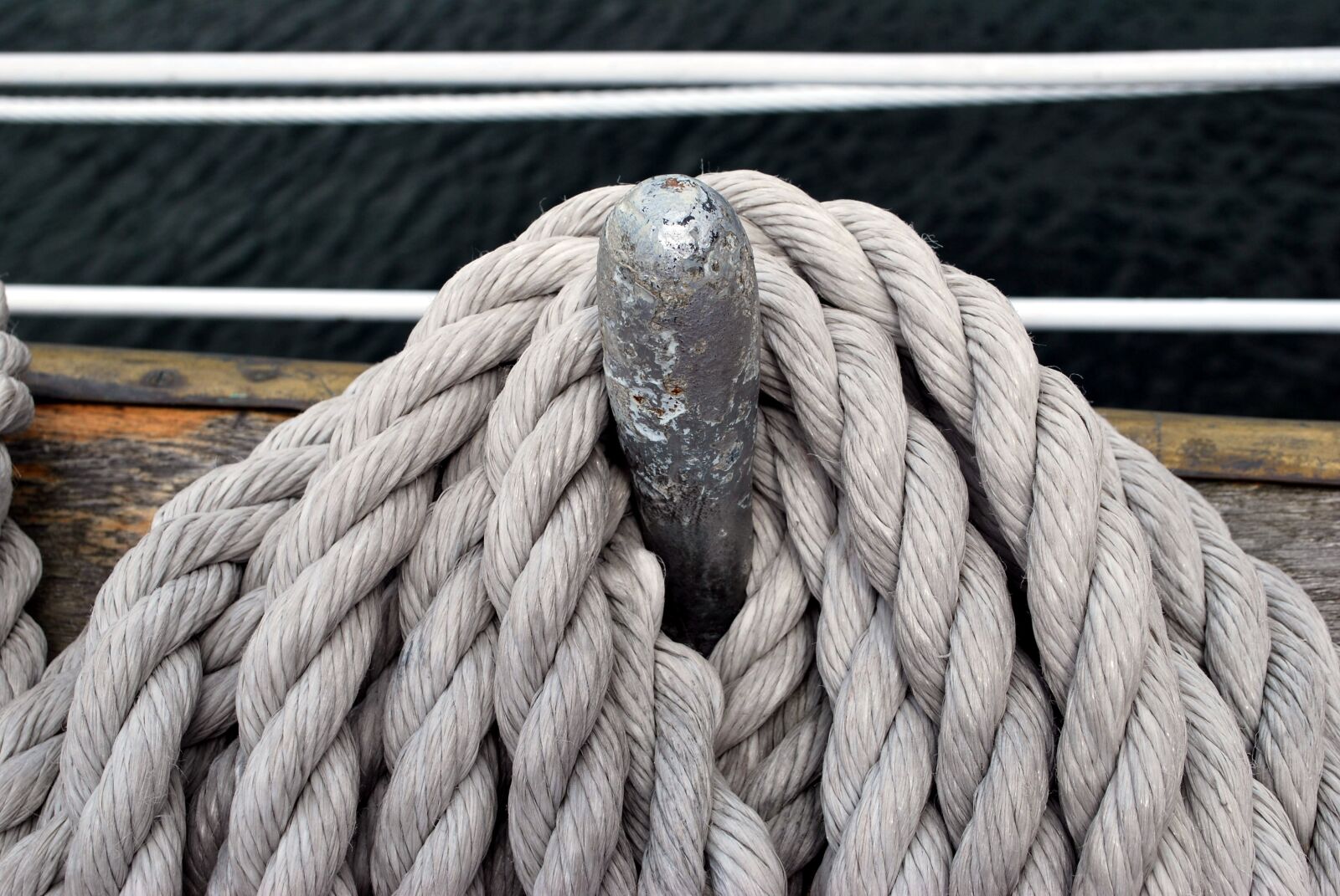 Nikon D60 sample photo. Rope, connecting, node photography