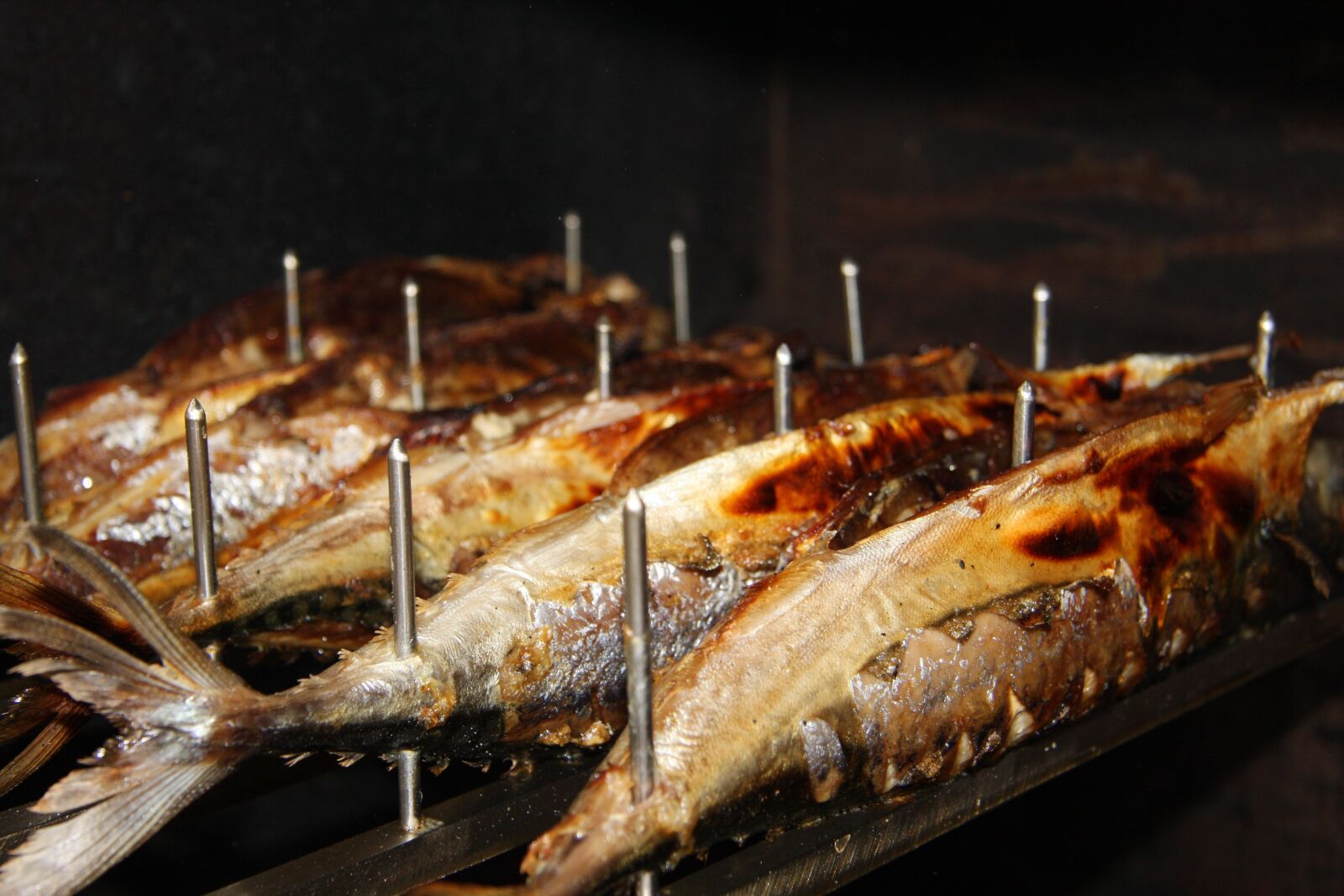 Canon EOS 40D sample photo. Mackerel, steckerlfisch, fish photography