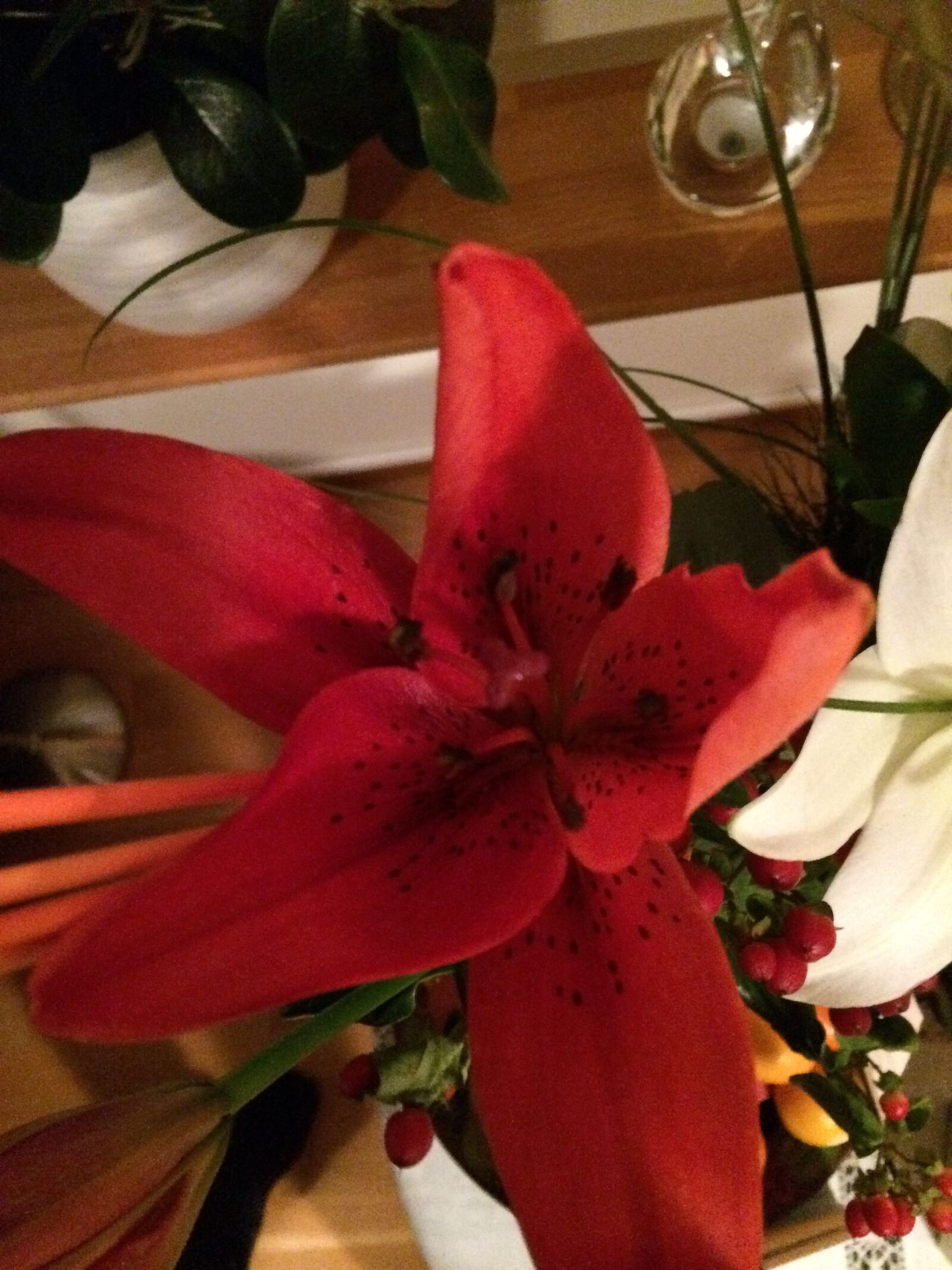 iPhone 5s back camera 4.12mm f/2.2 sample photo. Amaryll, red, flower photography