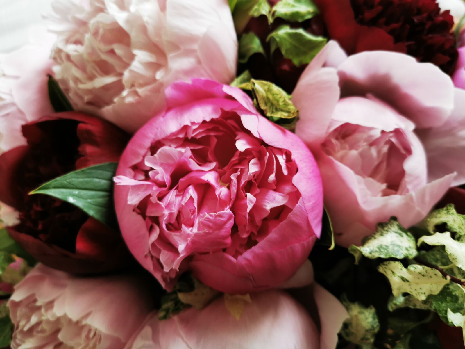 HUAWEI P30 sample photo. Peonies, flowers, bouquet photography