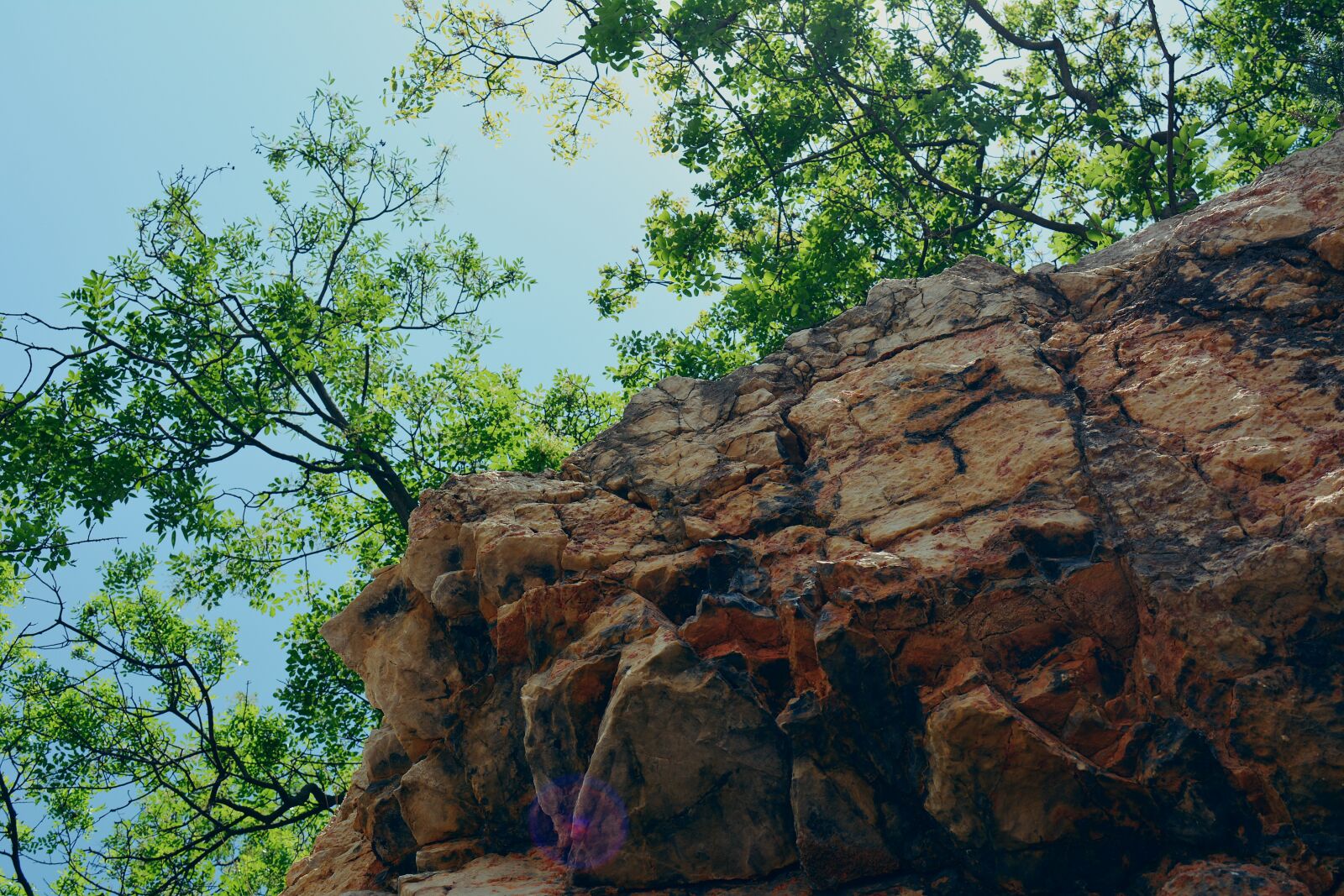 Nikon D5200 sample photo. Cliff, trees, nature photography