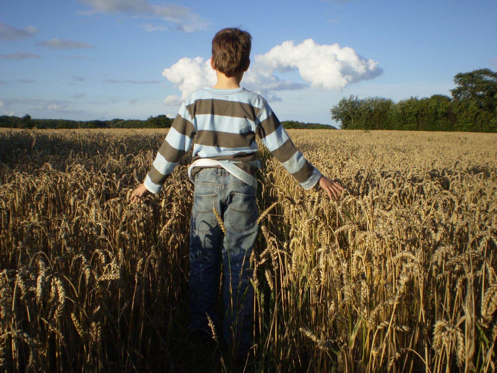 Olympus FE170,X760 sample photo. Thanksgiving, child, autumn photography