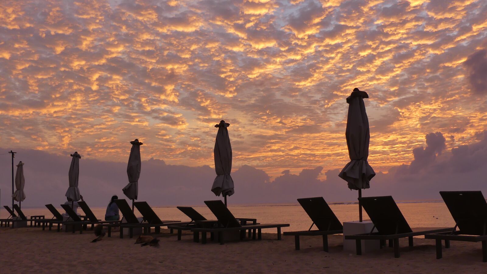 Panasonic Lumix DMC-FZ300 sample photo. Sanur, hyatt regency, indonesia photography