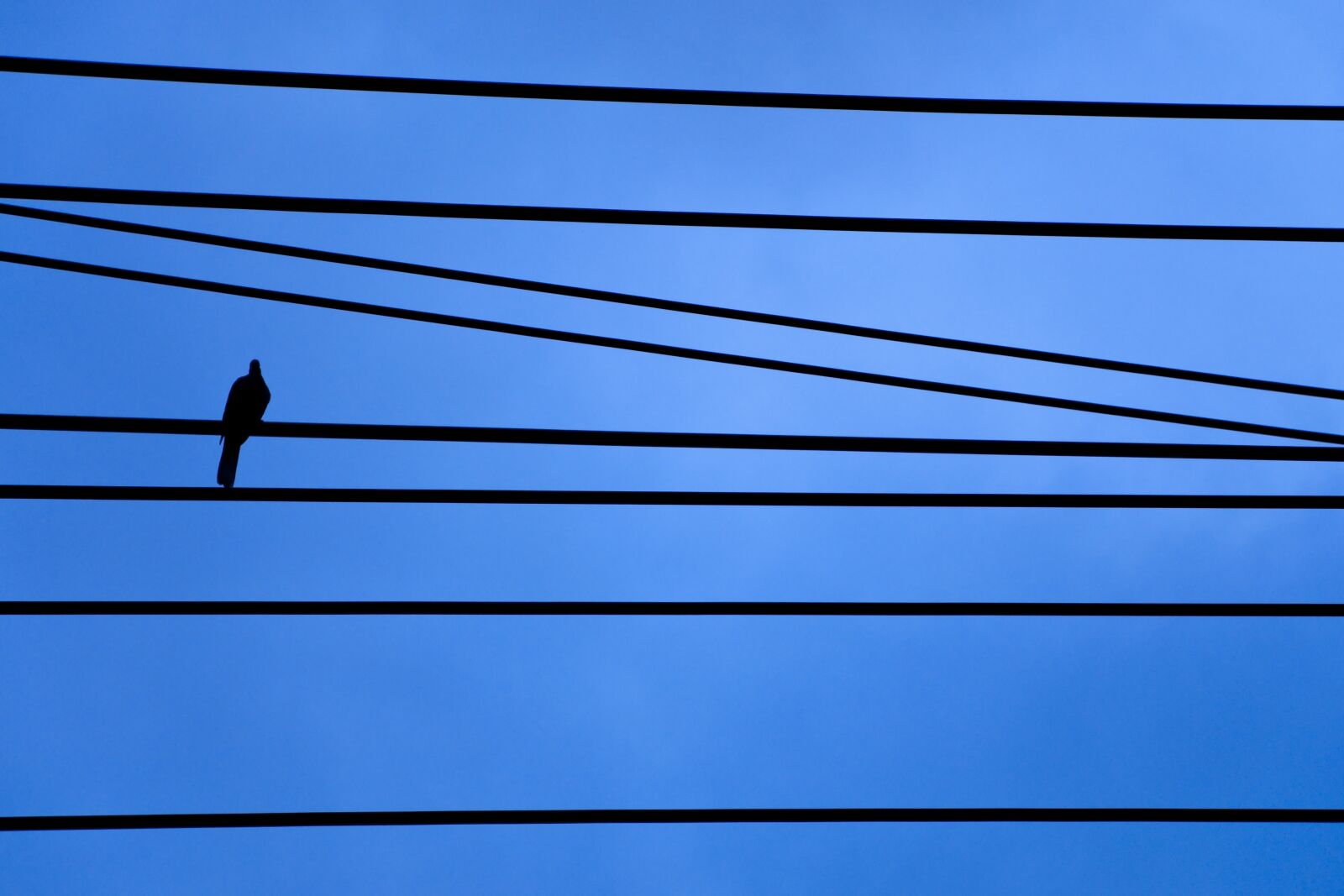 Nikon D90 sample photo. Cable, sky, wire photography