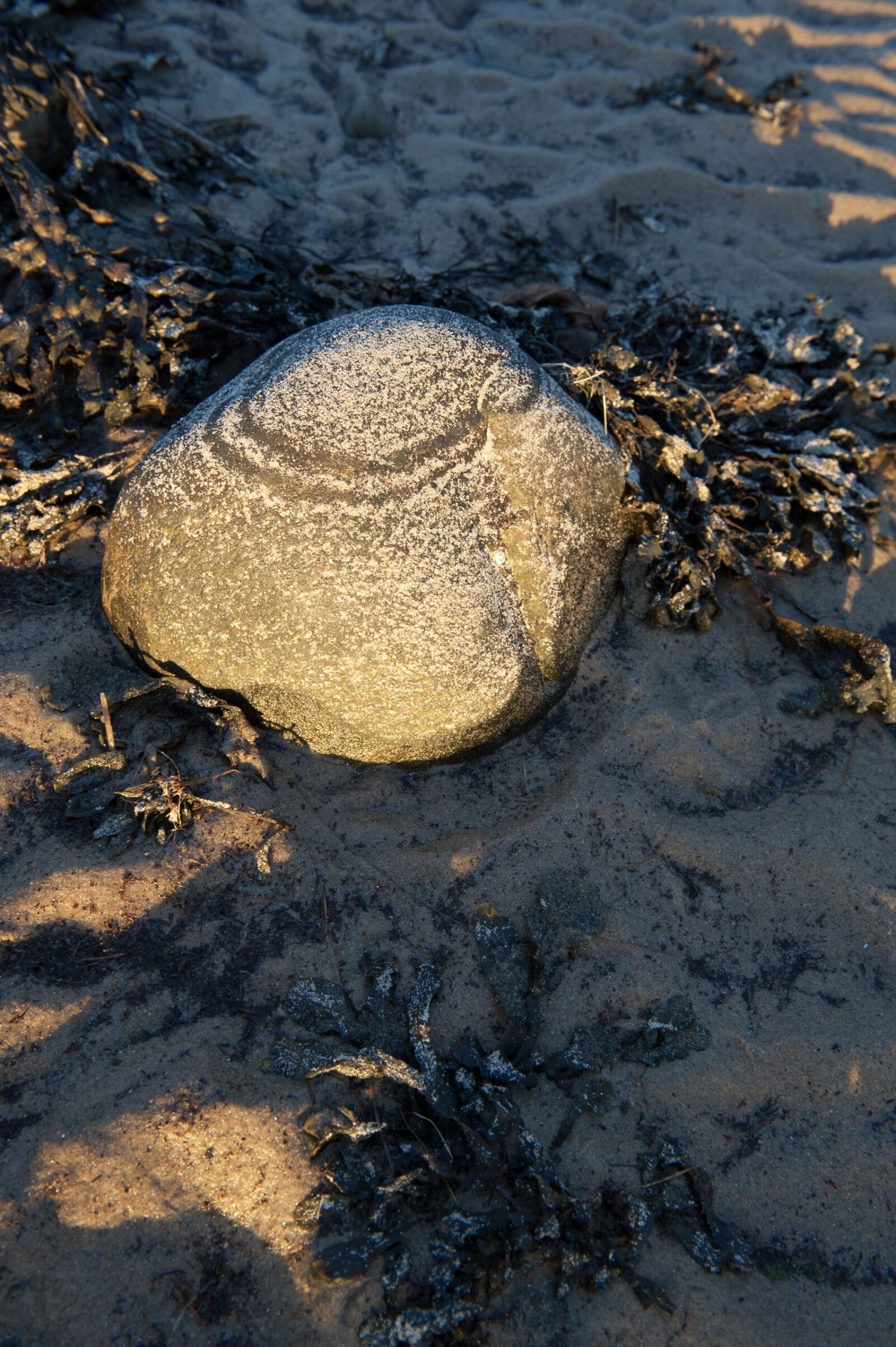 Nikon D700 sample photo. Pierre, sun, water photography