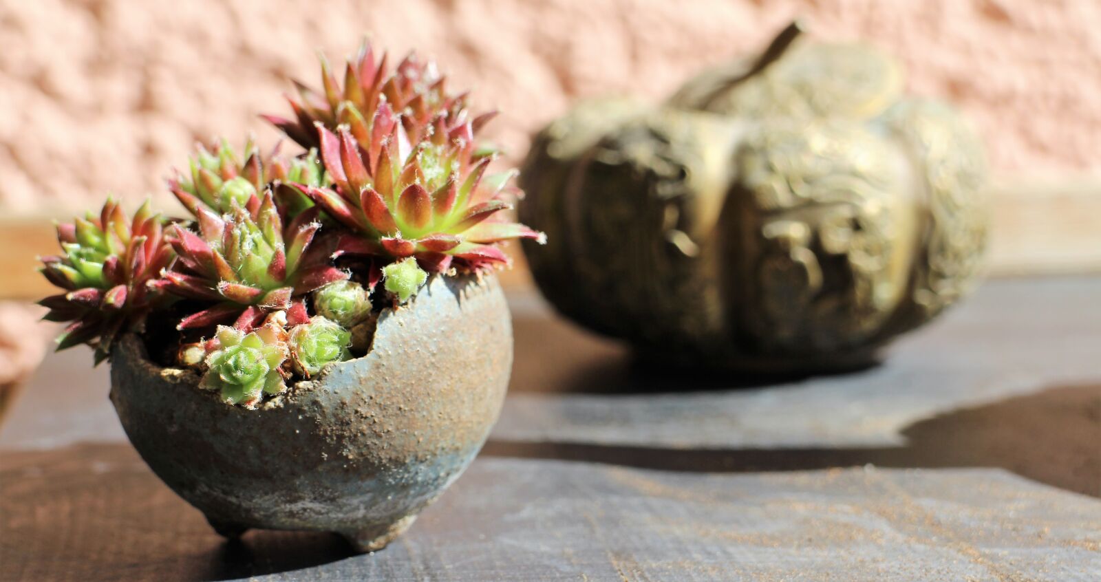 Canon EOS M sample photo. Bonsai, kusamono, principal investigator photography