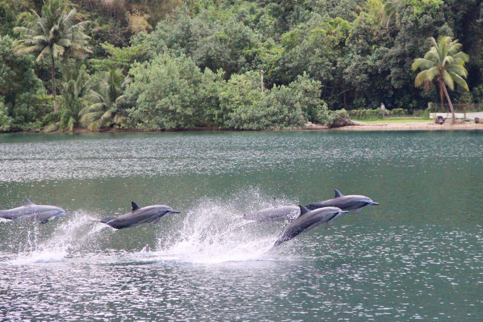 Canon EOS 600D (Rebel EOS T3i / EOS Kiss X5) sample photo. Waters, nature, summer photography
