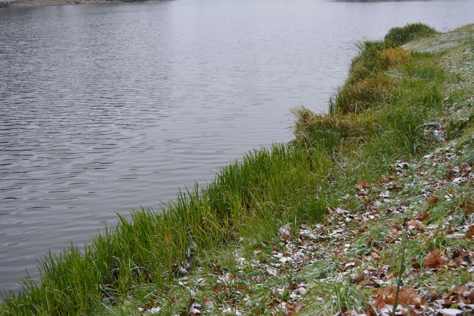 Nikon D5200 sample photo. Coast, coast of a photography