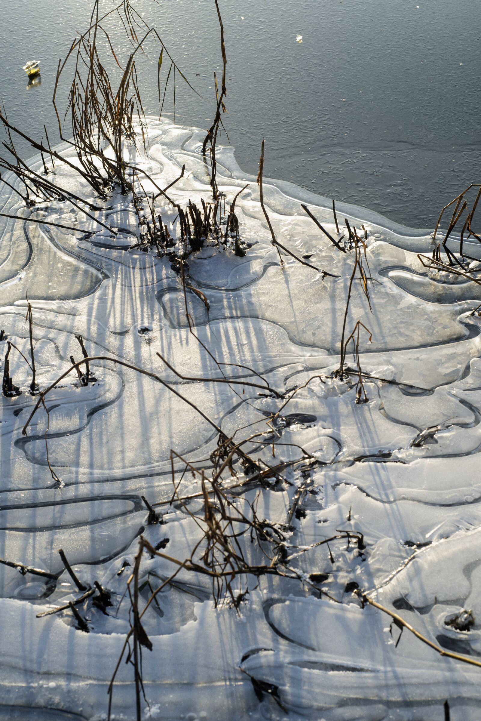 Nikon D610 sample photo. Ice, snow, cold photography