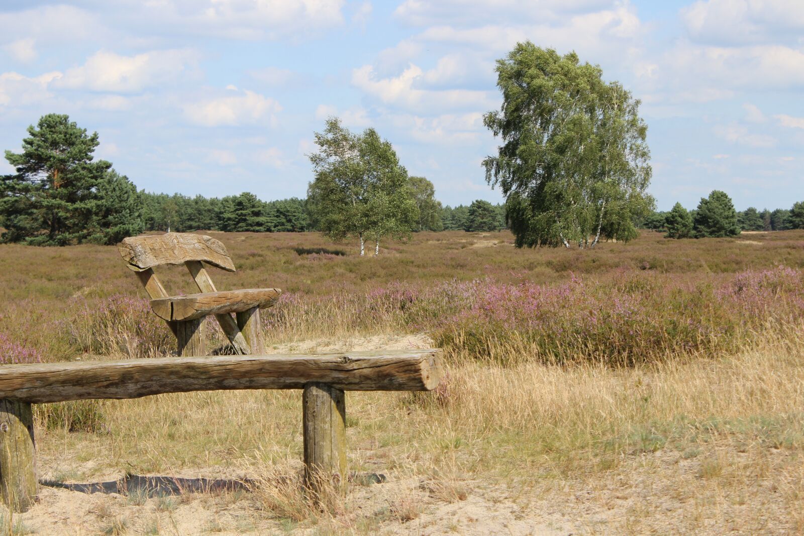 Canon EOS 600D (Rebel EOS T3i / EOS Kiss X5) sample photo. Nemitzer heath, rest, recovery photography