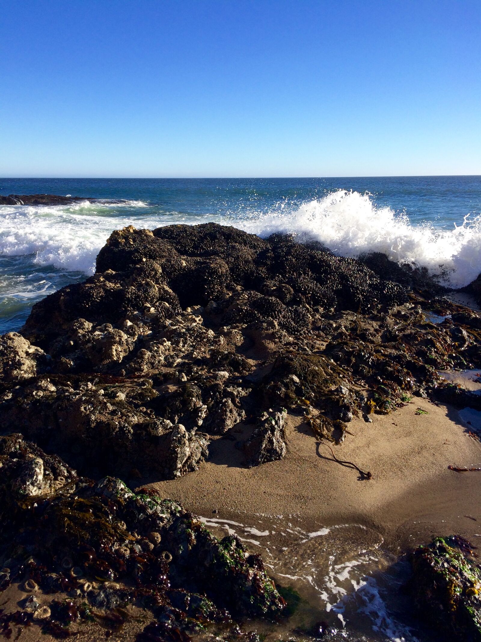 iPhone 5s back camera 4.15mm f/2.2 sample photo. Ocean waves, rock, coast photography