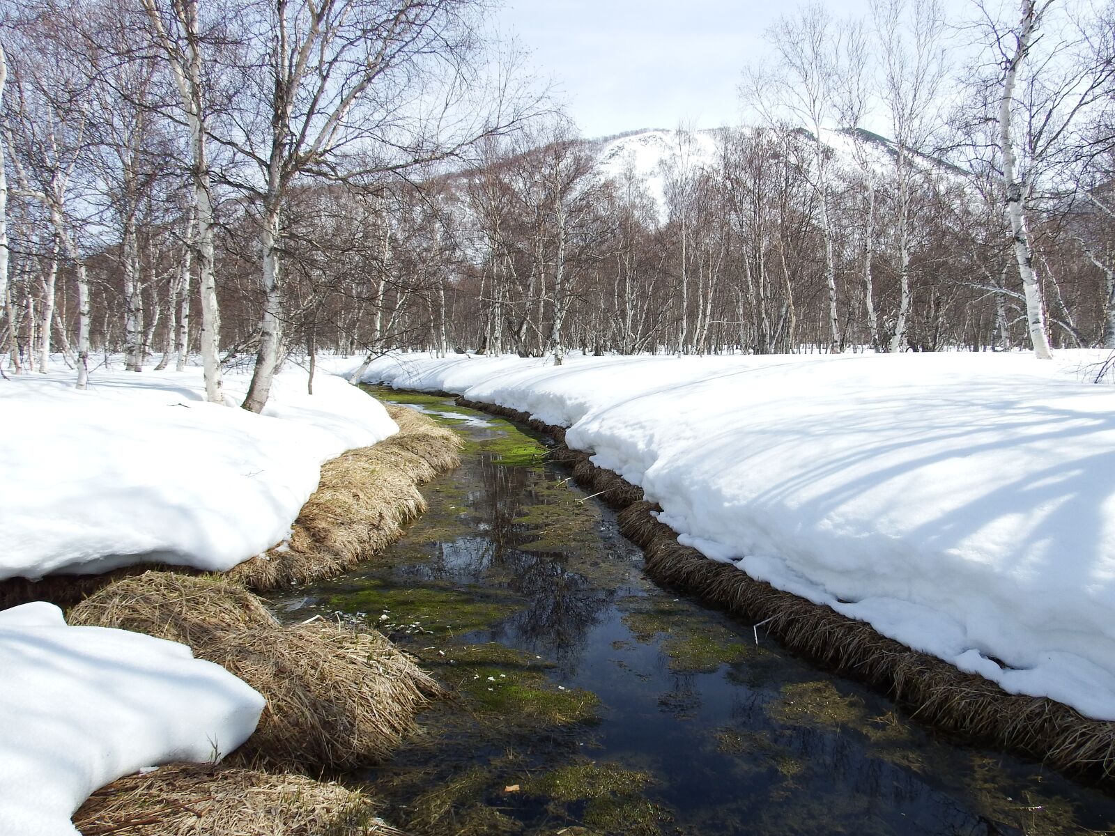 Fujifilm FinePix S1 sample photo. Spring, the melting of photography