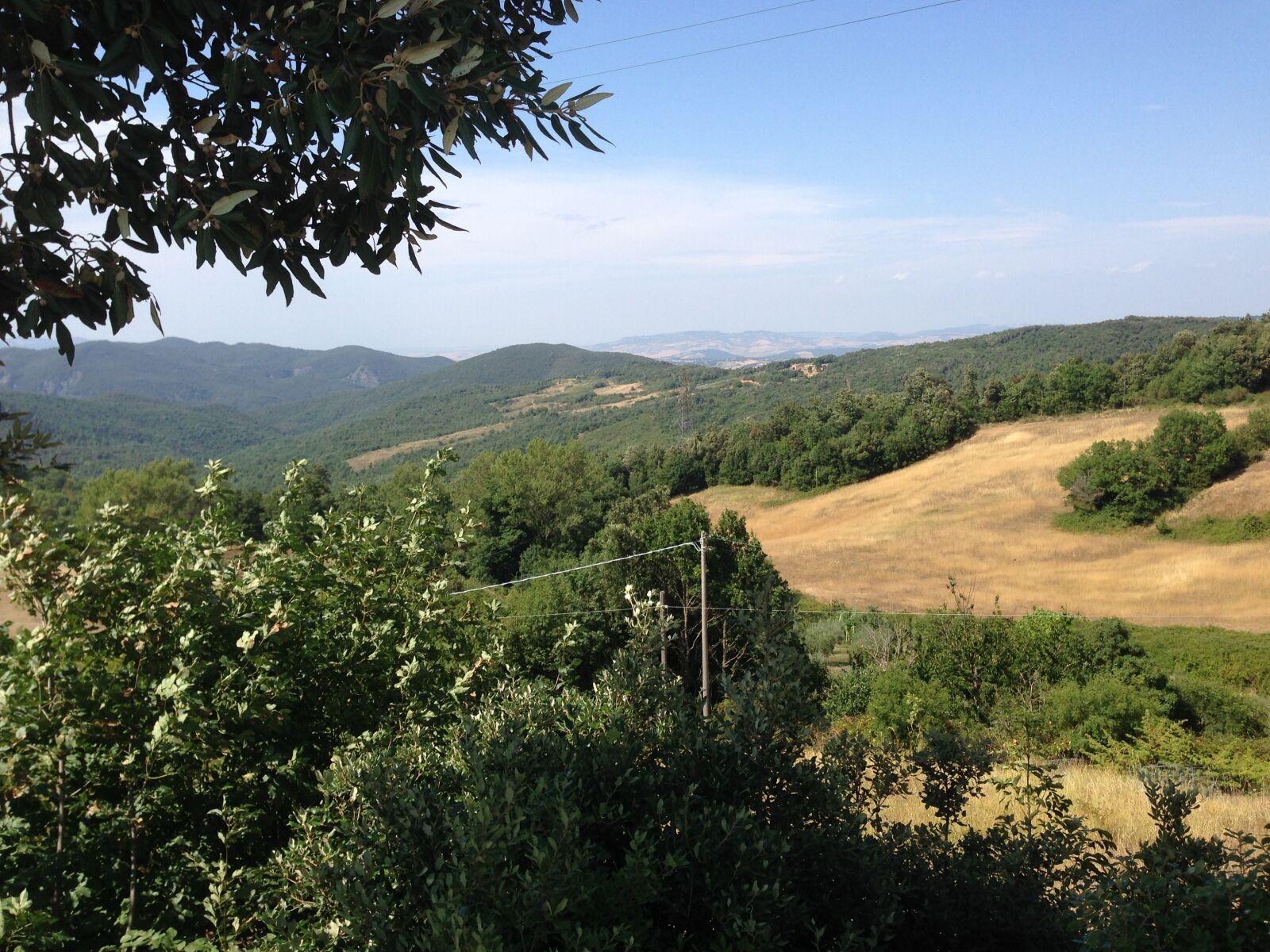 iPhone 5 back camera 4.12mm f/2.4 sample photo. Landscape, trees, nature photography