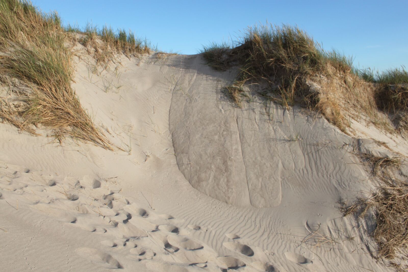 Canon EOS 500D (EOS Rebel T1i / EOS Kiss X3) sample photo. Dunes, sand, beach photography