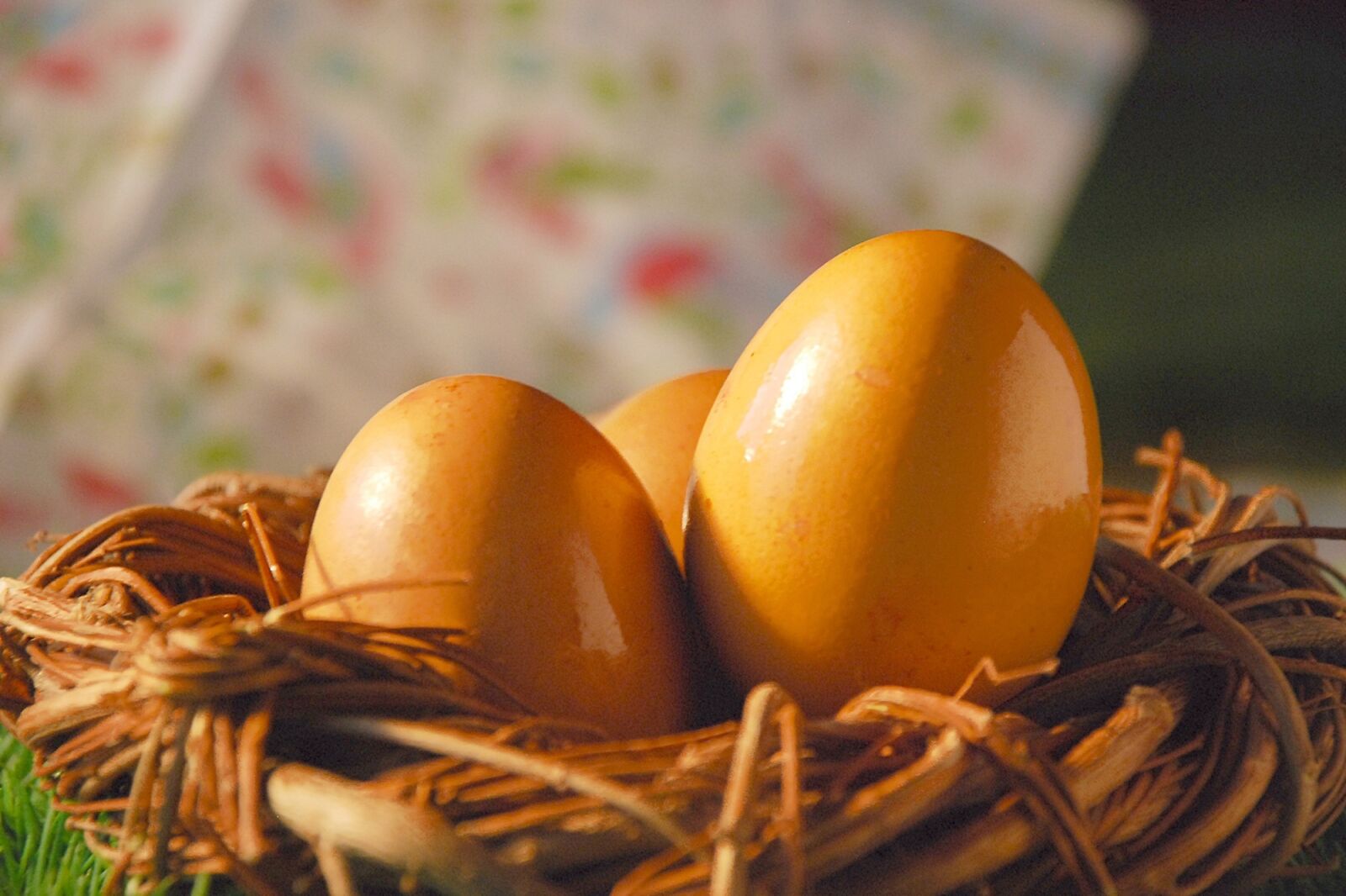 Nikon D80 sample photo. Egg, eggs, easter photography