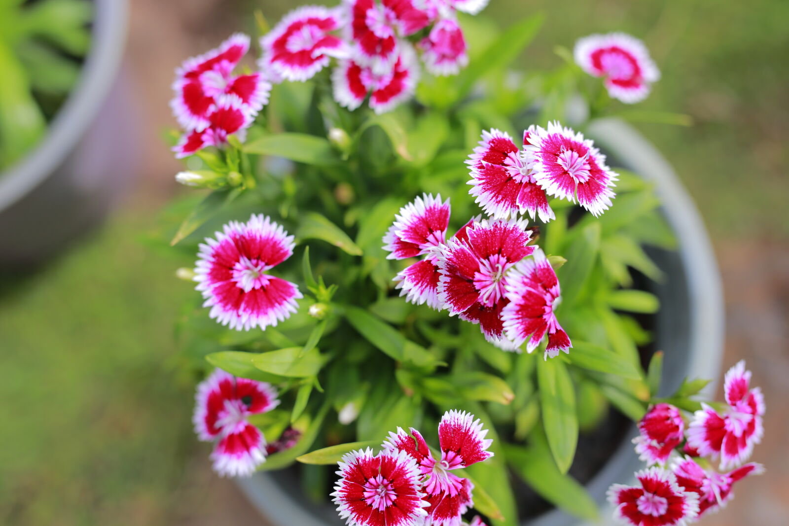Canon EOS 6D sample photo