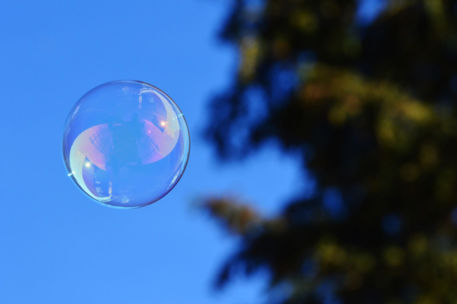 Nikon D3200 sample photo. Soap bubble, colorful, balls photography