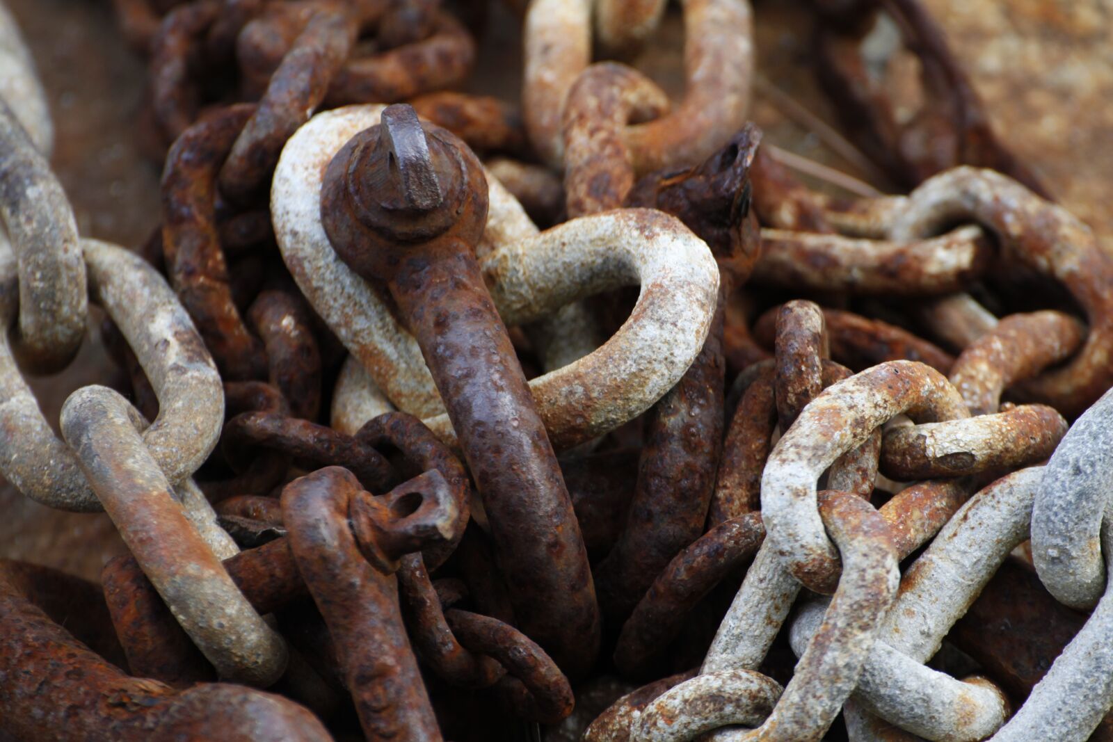 Canon EOS 5D Mark II sample photo. Rust, sea, old photography