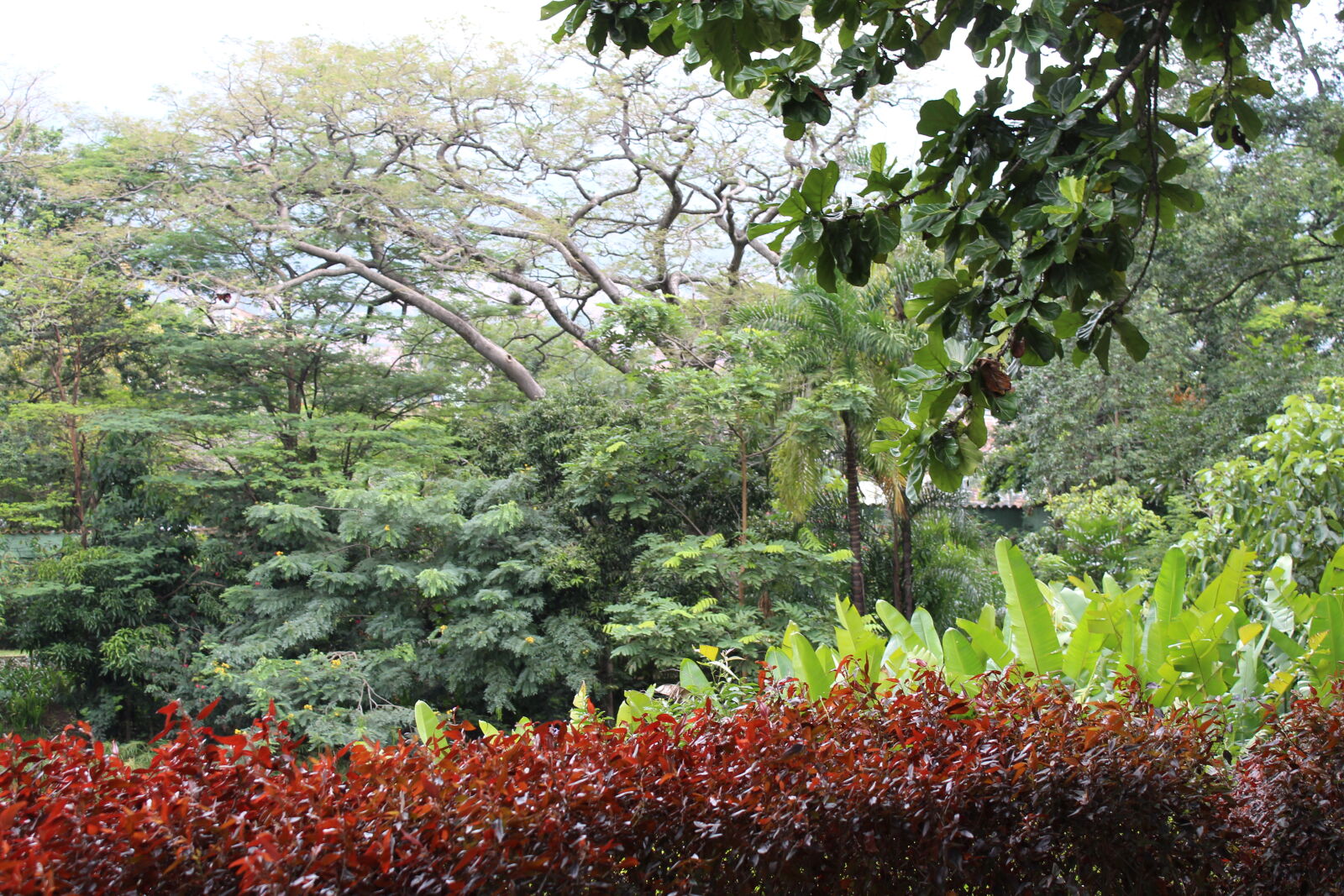Canon EOS 1300D (EOS Rebel T6 / EOS Kiss X80) sample photo
