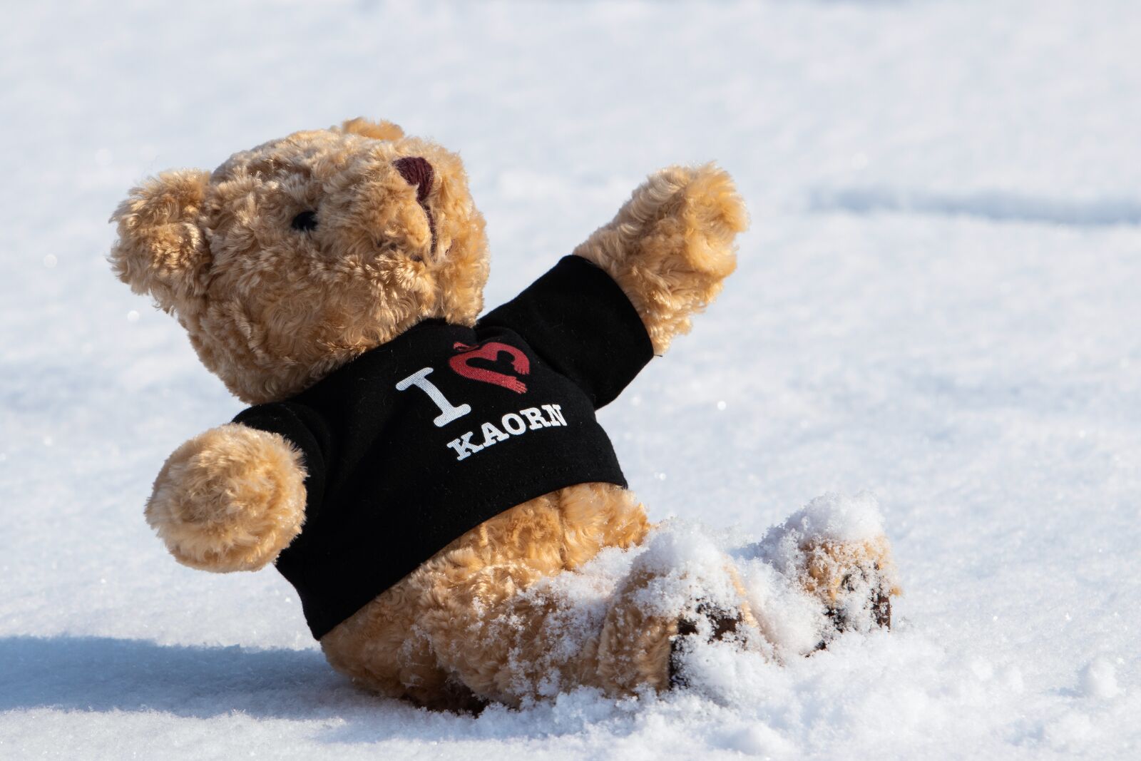 Canon EF 70-200mm F2.8L USM sample photo. Snow, winter, christmas photography