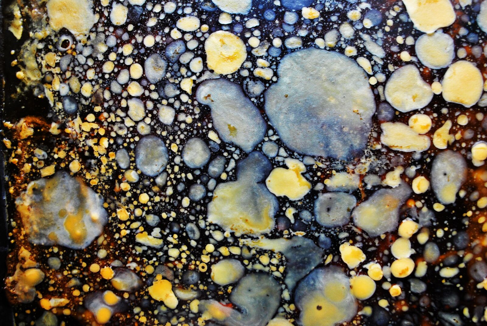 Nikon D3000 sample photo. Abstract, pattern, circles photography