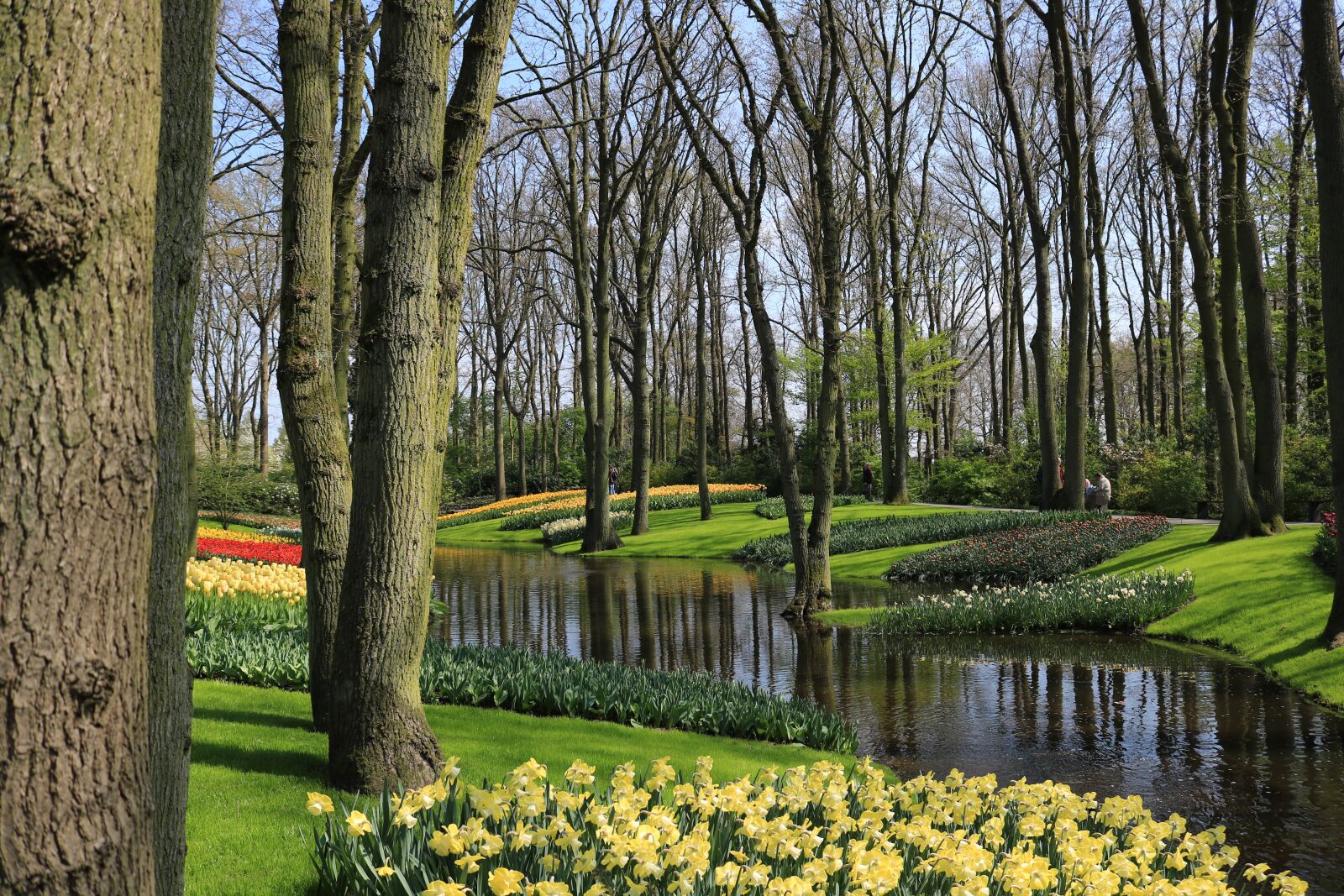 Canon EOS 750D (EOS Rebel T6i / EOS Kiss X8i) sample photo. Keukenhof, bach, tulips photography