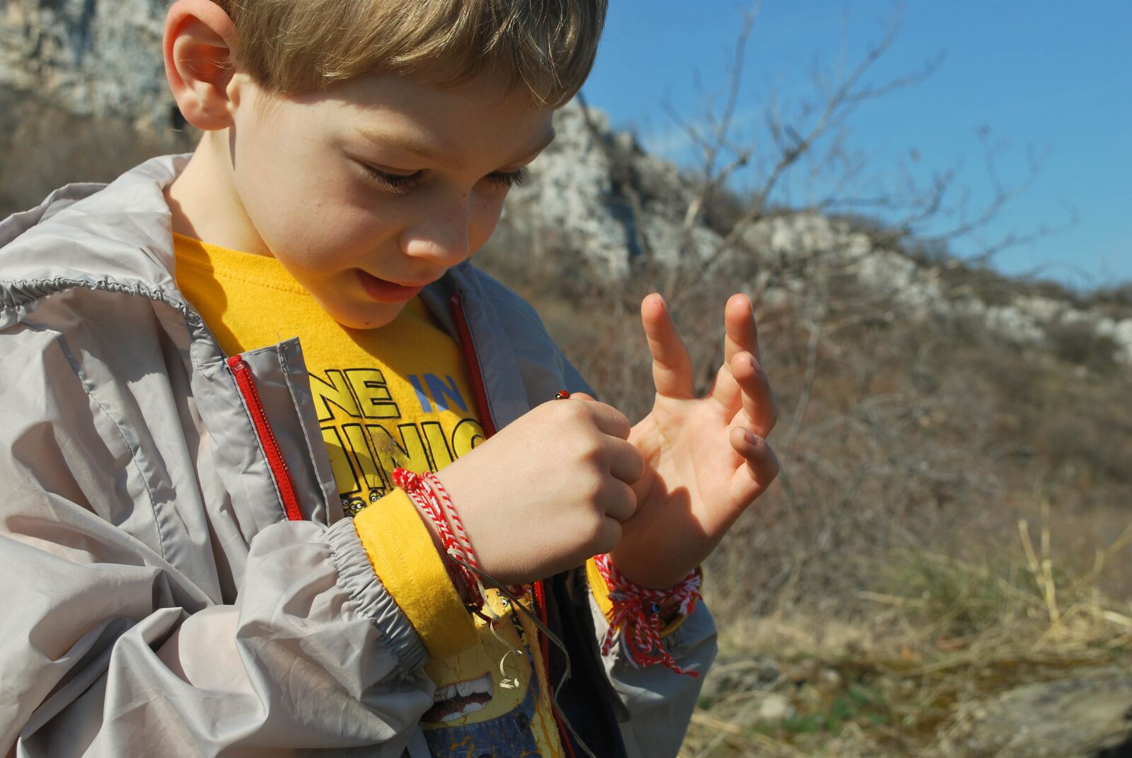 Nikon D60 sample photo. Boy, ladybug, observe photography