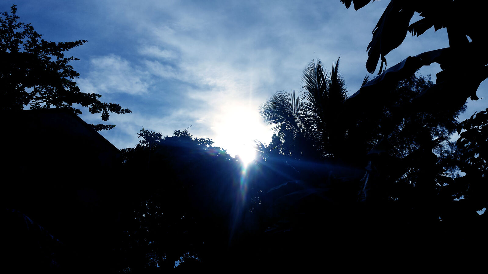 Samsung Galaxy S4 sample photo
