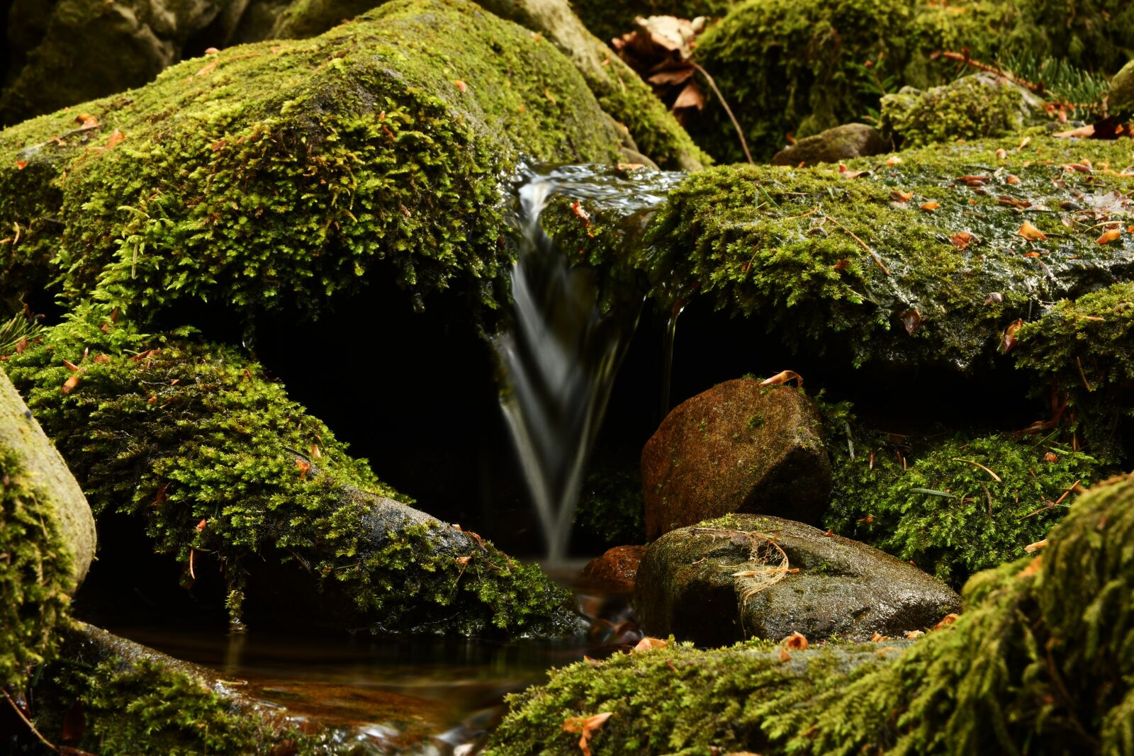Nikon D7500 sample photo. Waterfall, water, nature photography