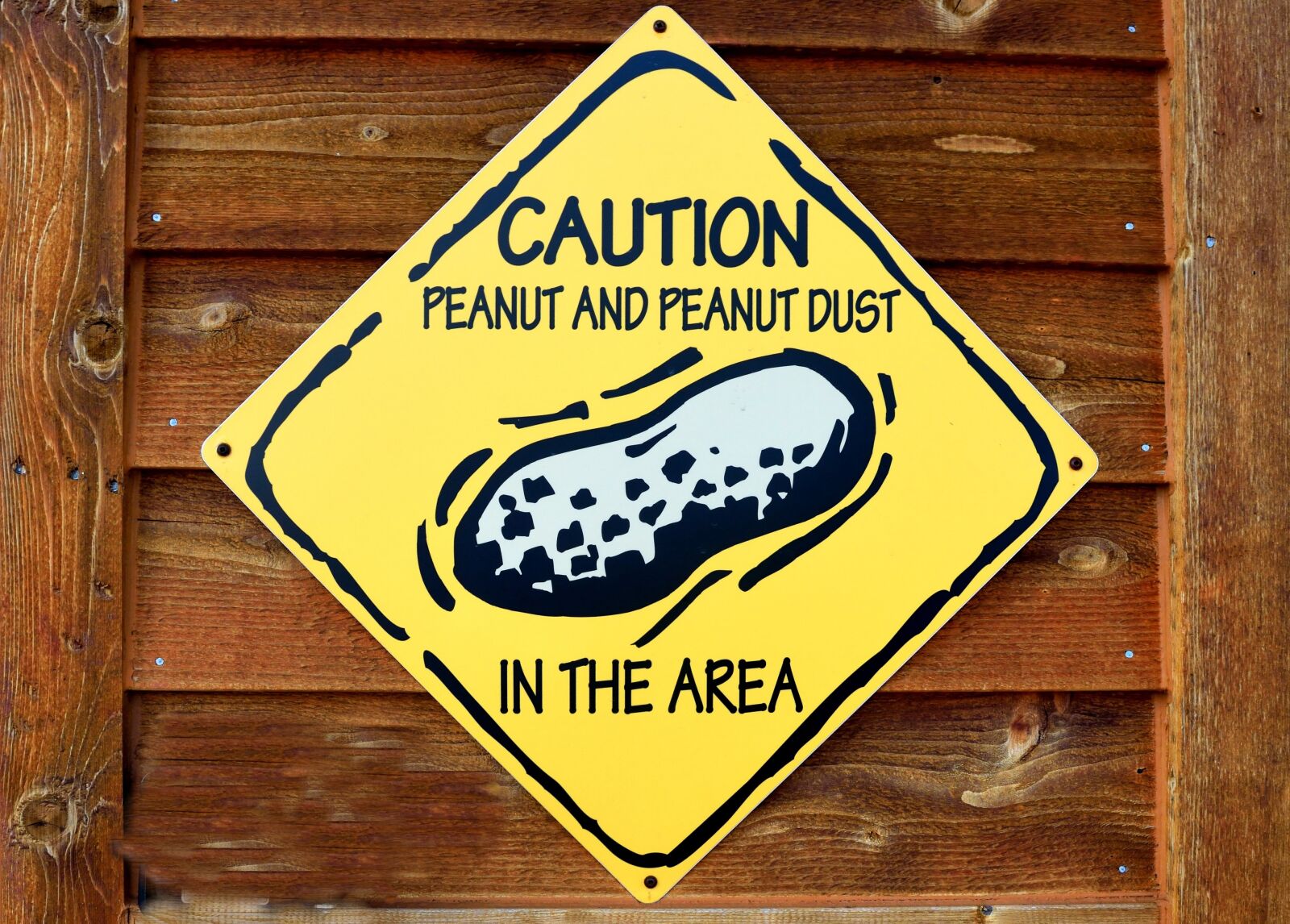 Nikon D3300 sample photo. Sign, caution, peanuts photography