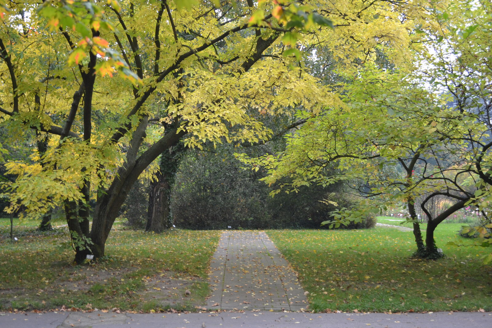 Nikon D3100 sample photo