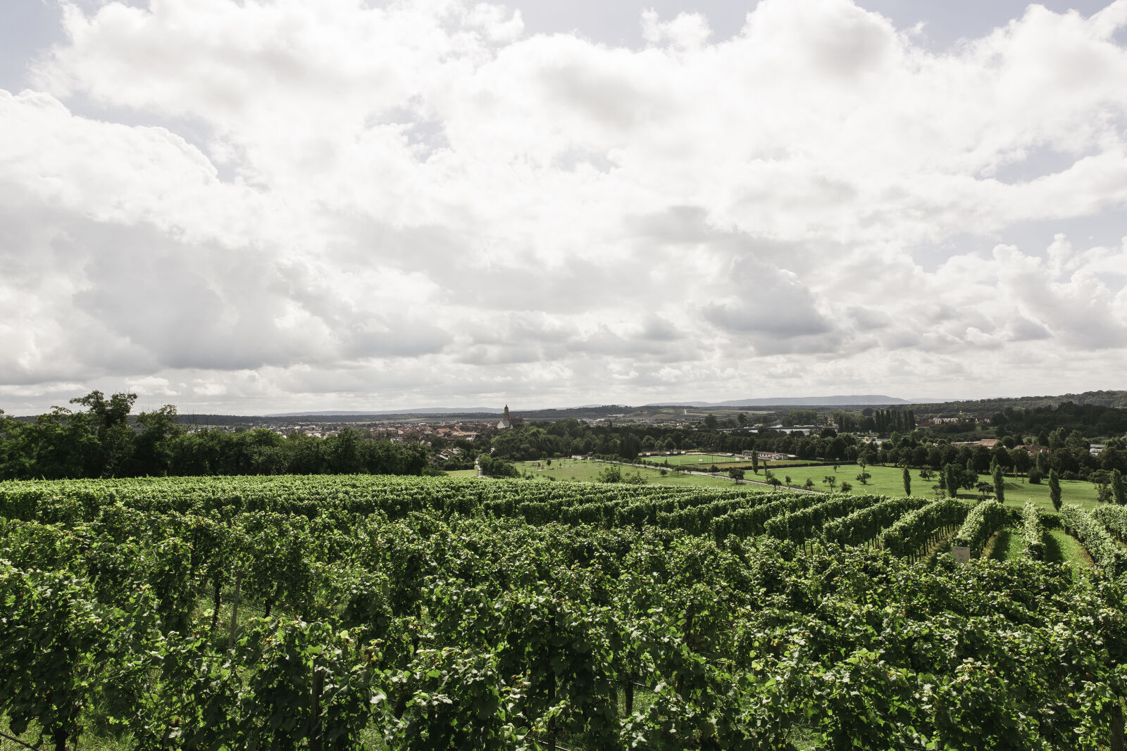 Canon EF 24-70mm F2.8L II USM sample photo. Landscape, nature, clouds, field photography