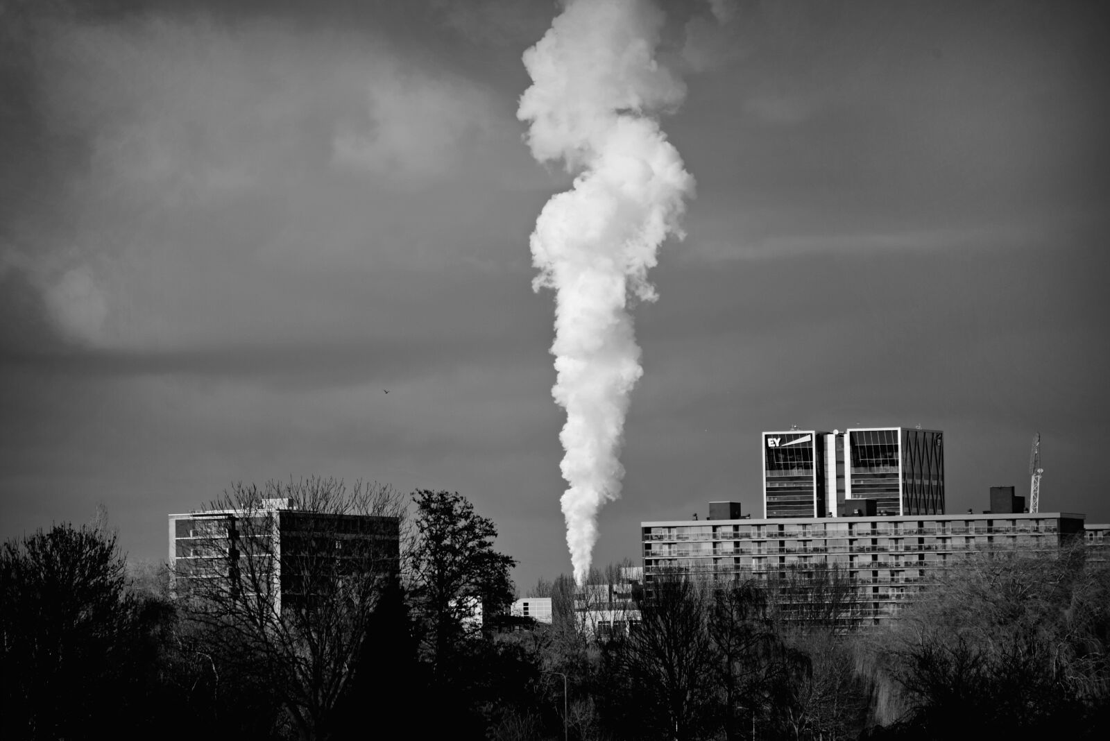 Nikon D750 sample photo. Smoke, column, billowing photography