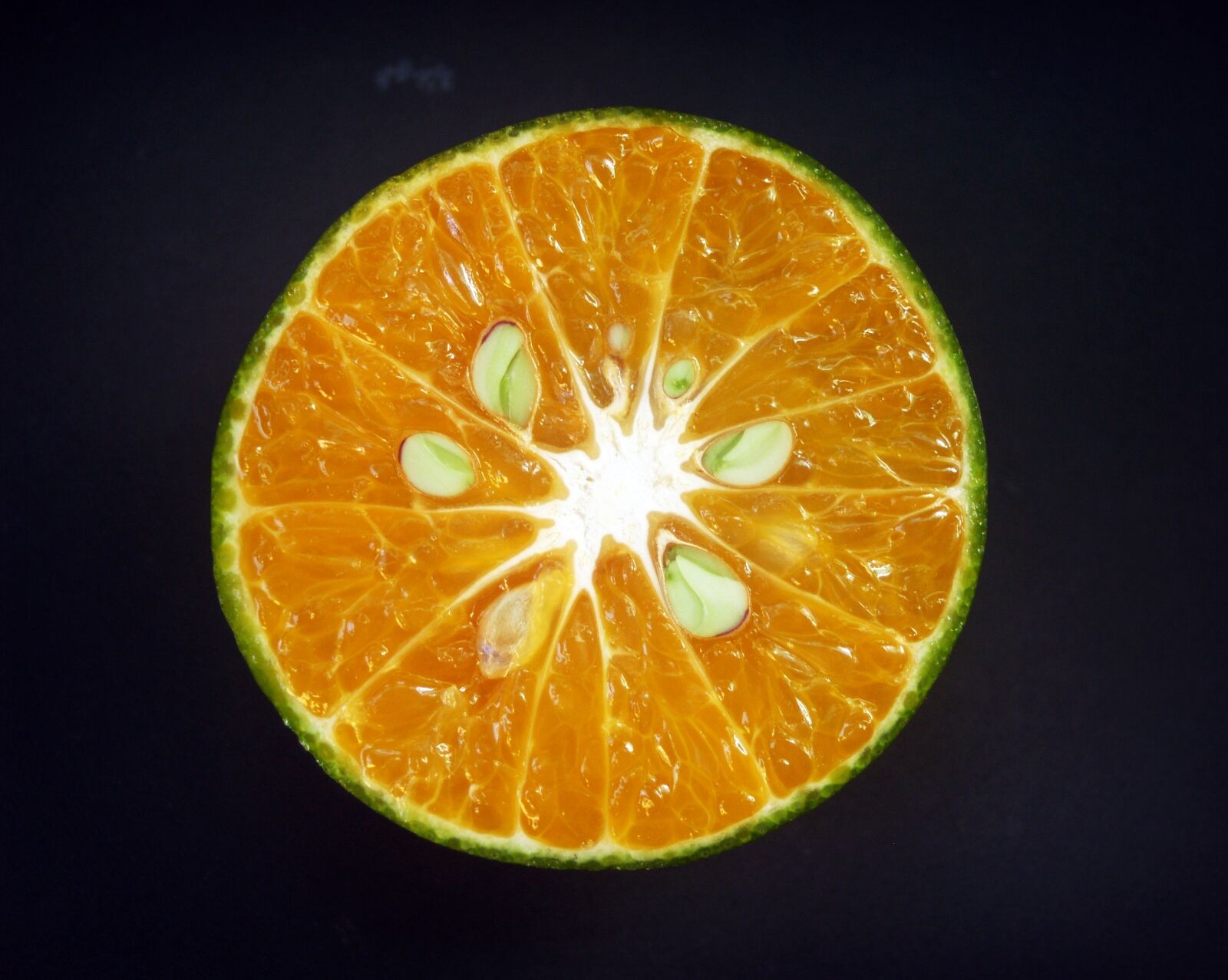Olympus E-300 (EVOLT E-300) sample photo. Orange, fruit, slice photography