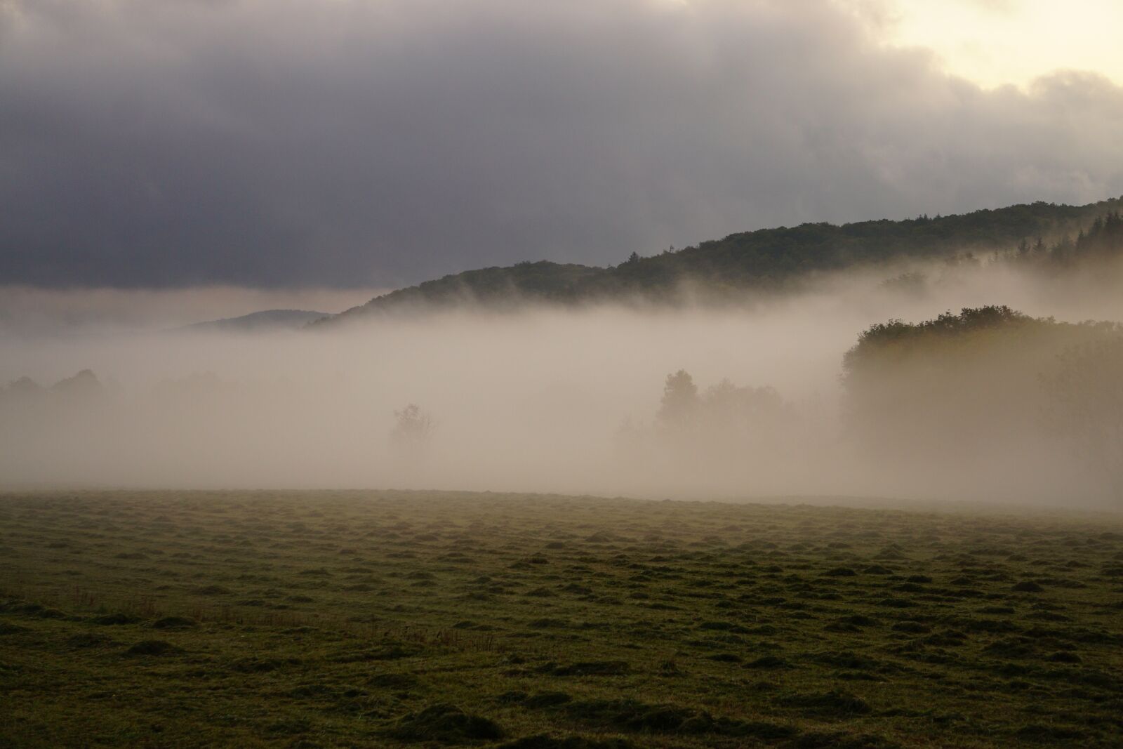 Sony E 55-210mm F4.5-6.3 OSS sample photo. Fog, landscape, nature photography