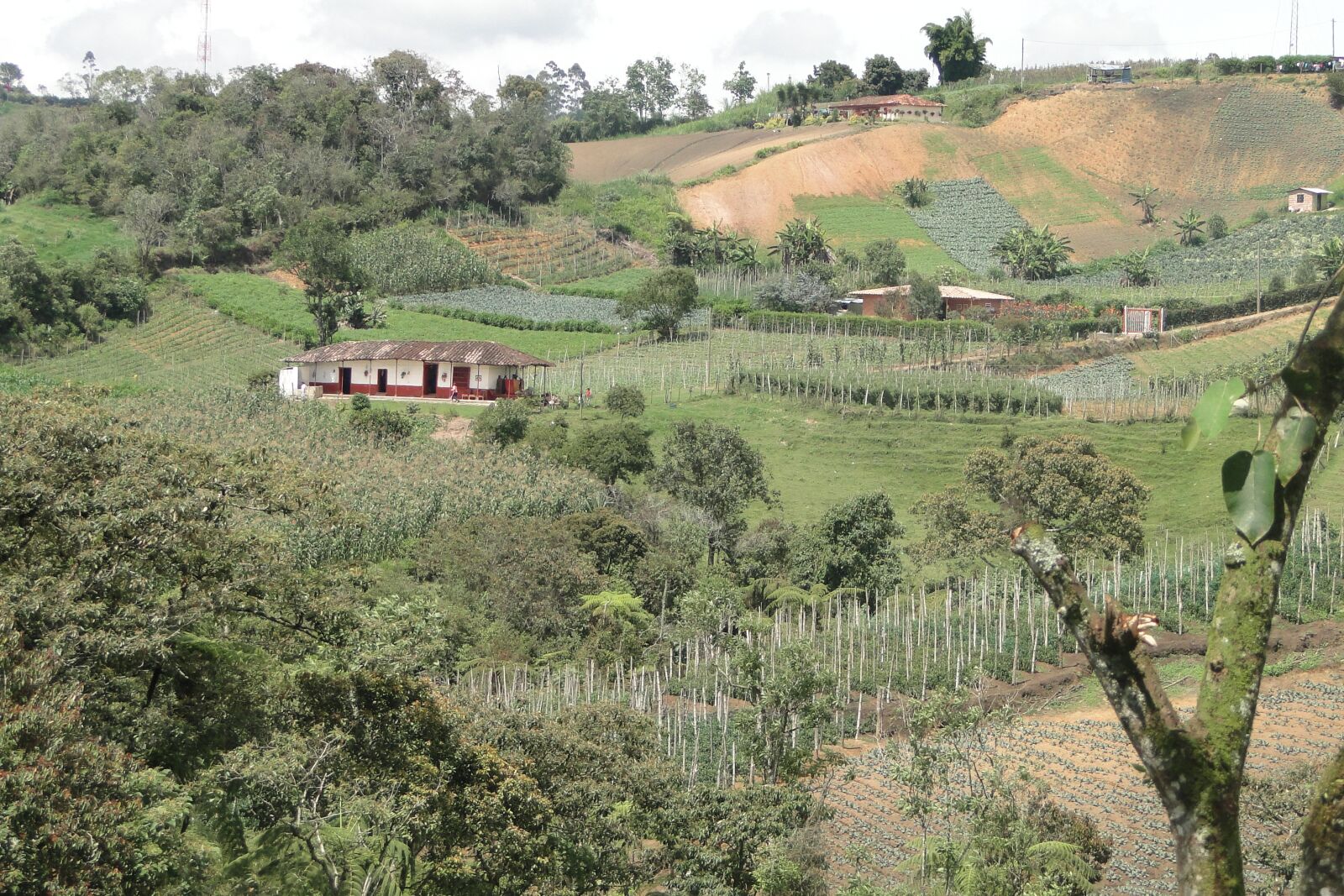 Sony Cyber-shot DSC-HX1 sample photo. Rural, harvest, landscape photography