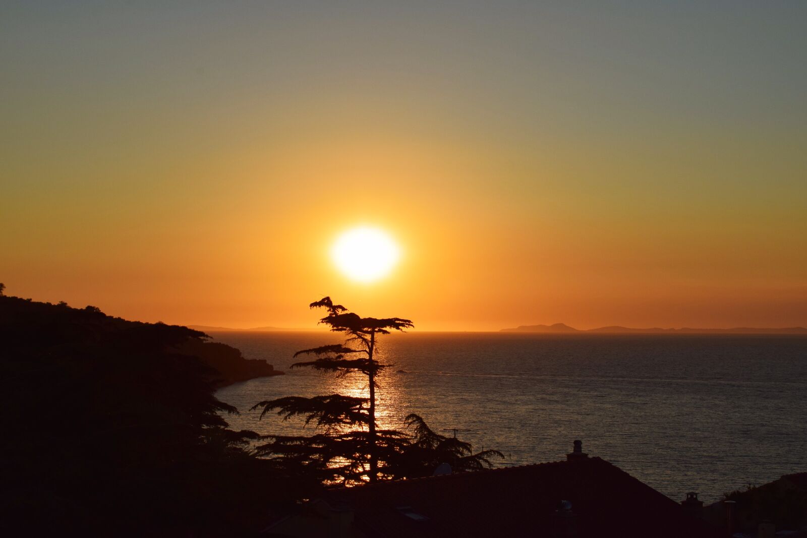 Nikon D3300 sample photo. Tree, sunset, ocean photography