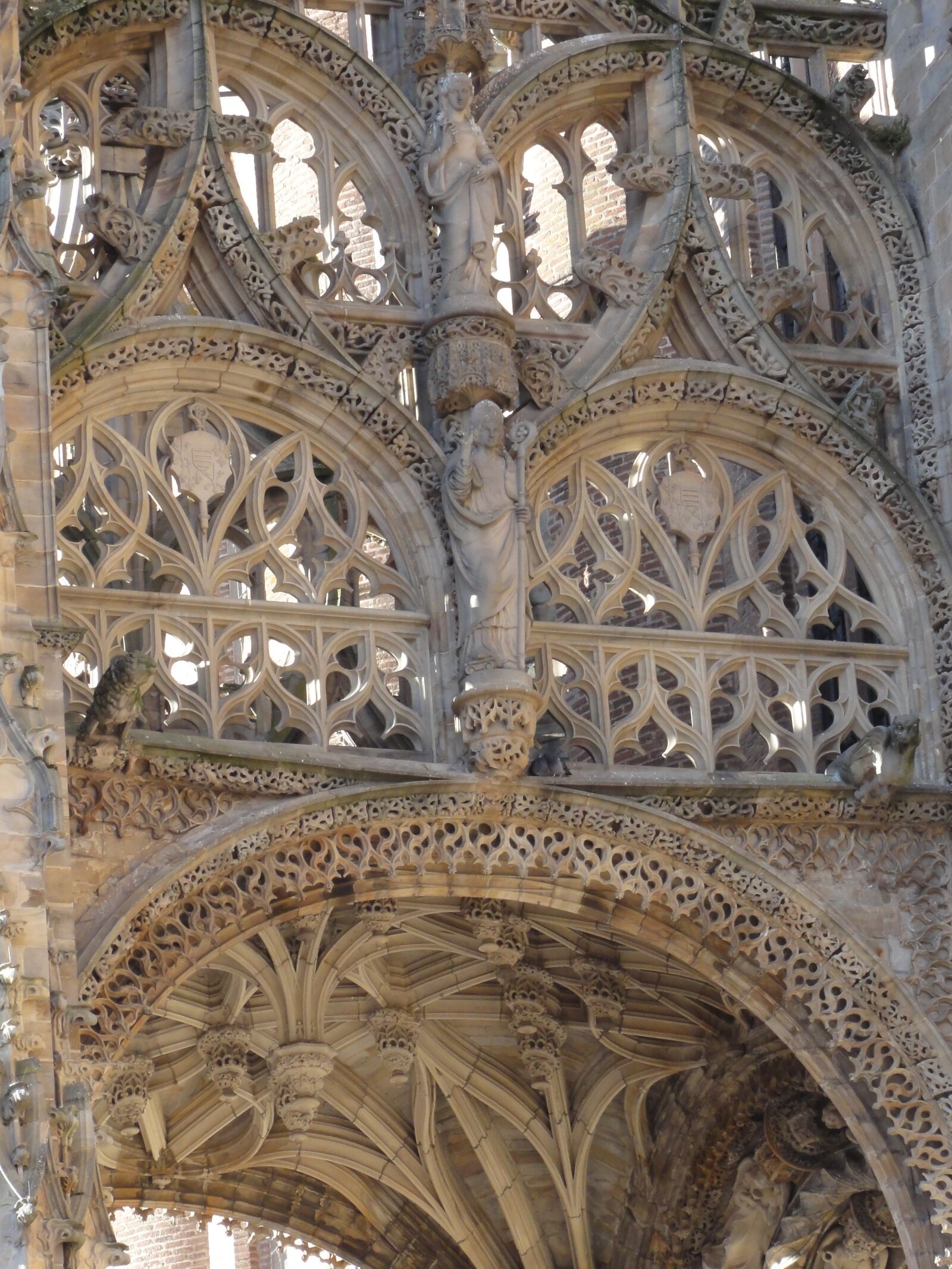 Sony DSC-HX5V sample photo. Cathedral, france, albi photography