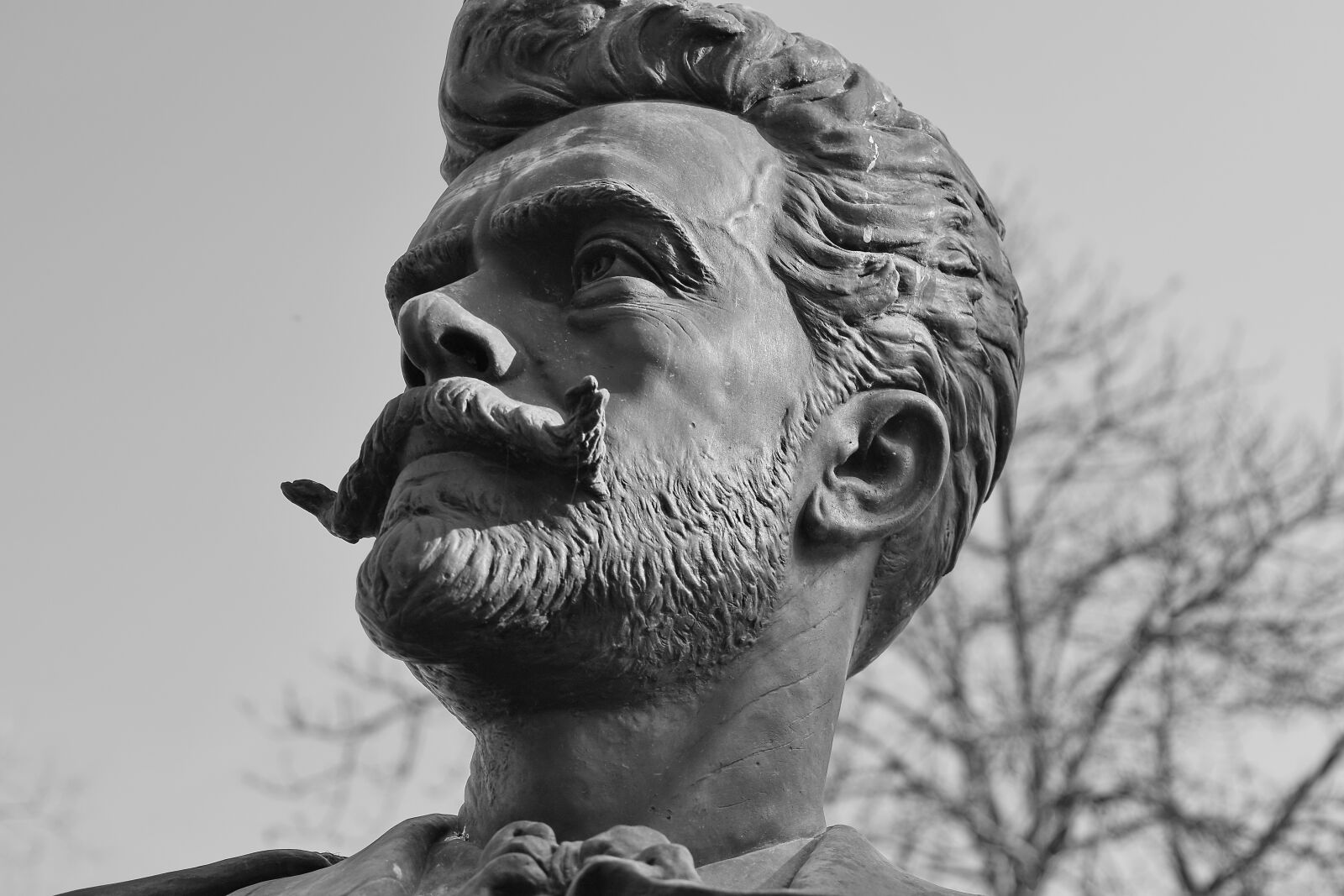 Nikon D5500 sample photo. Black and white, bust photography