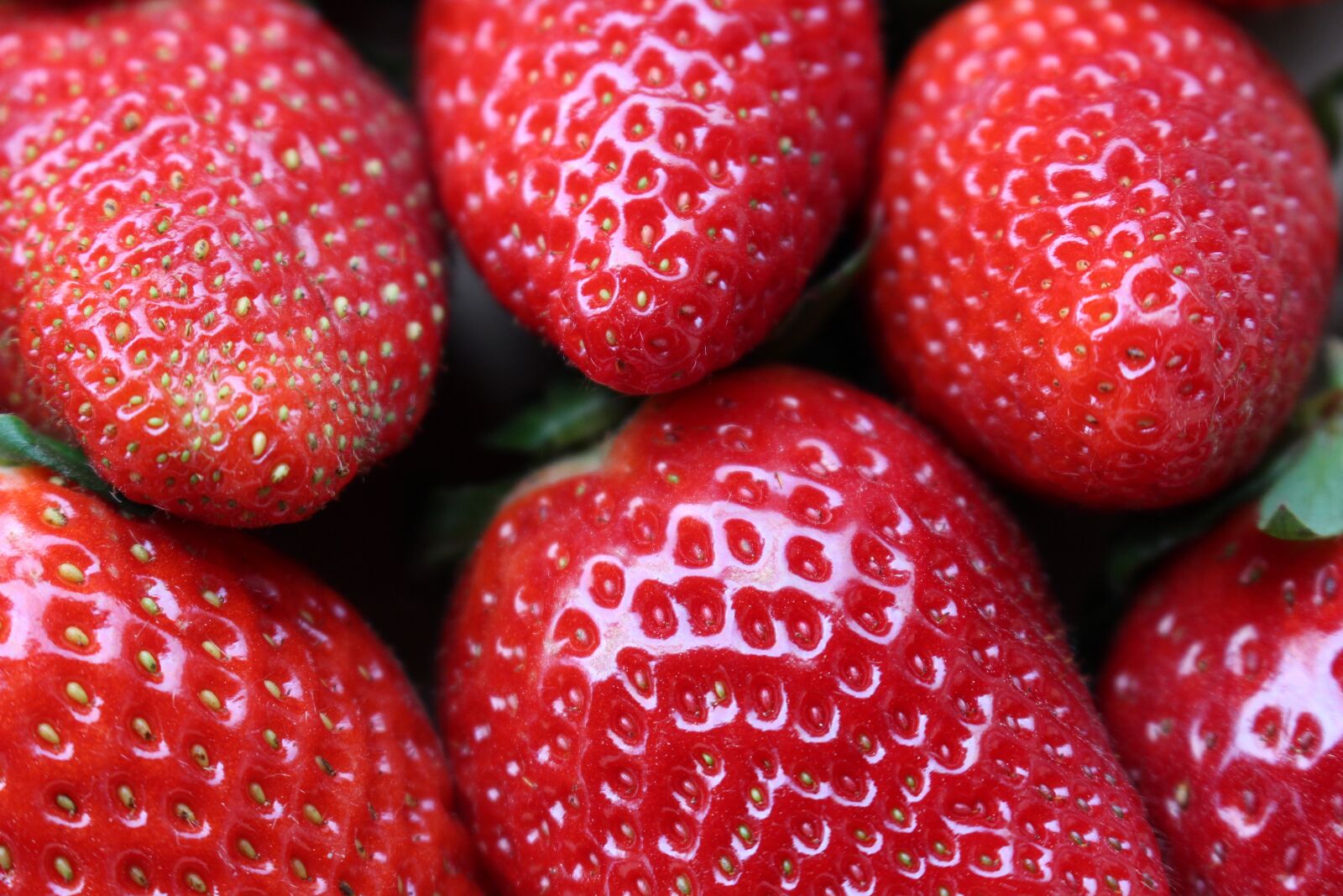 Canon EOS 100D (EOS Rebel SL1 / EOS Kiss X7) sample photo. Strawberries, fruit, red photography