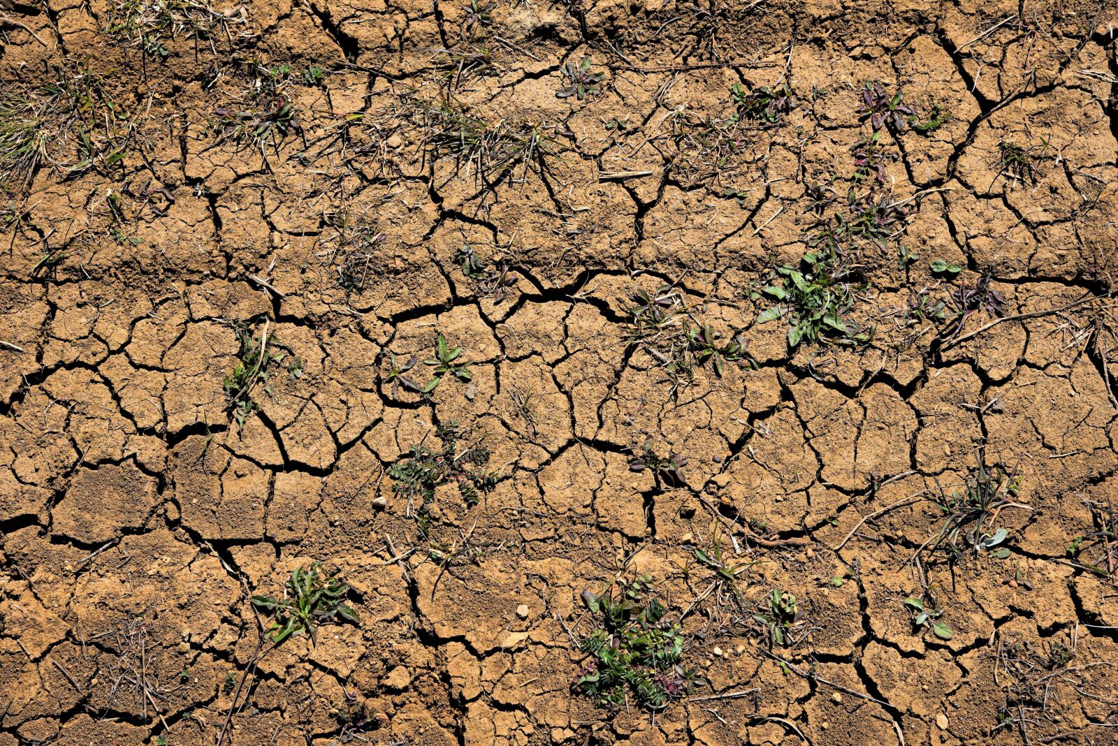 Nikon D750 sample photo. Dirt, mood, land photography