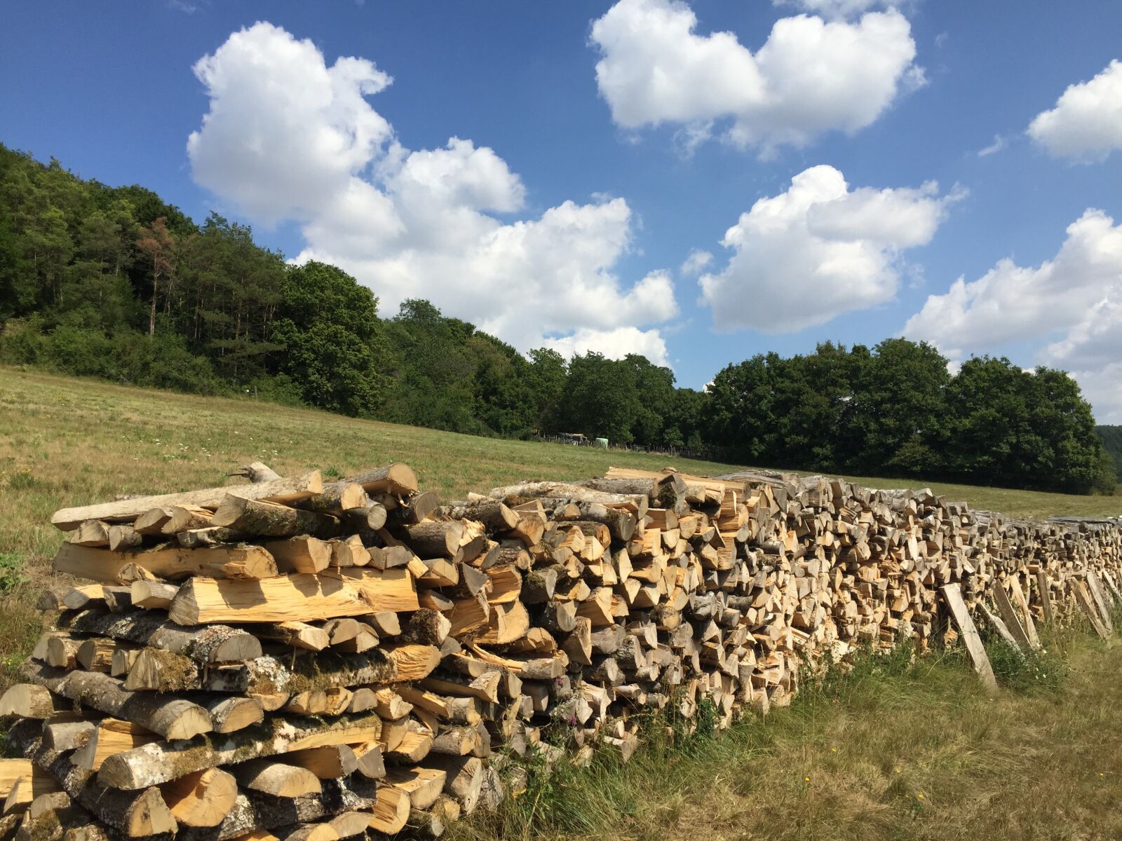 Apple iPhone 6 sample photo. Holzstapel, summer landscape, province photography