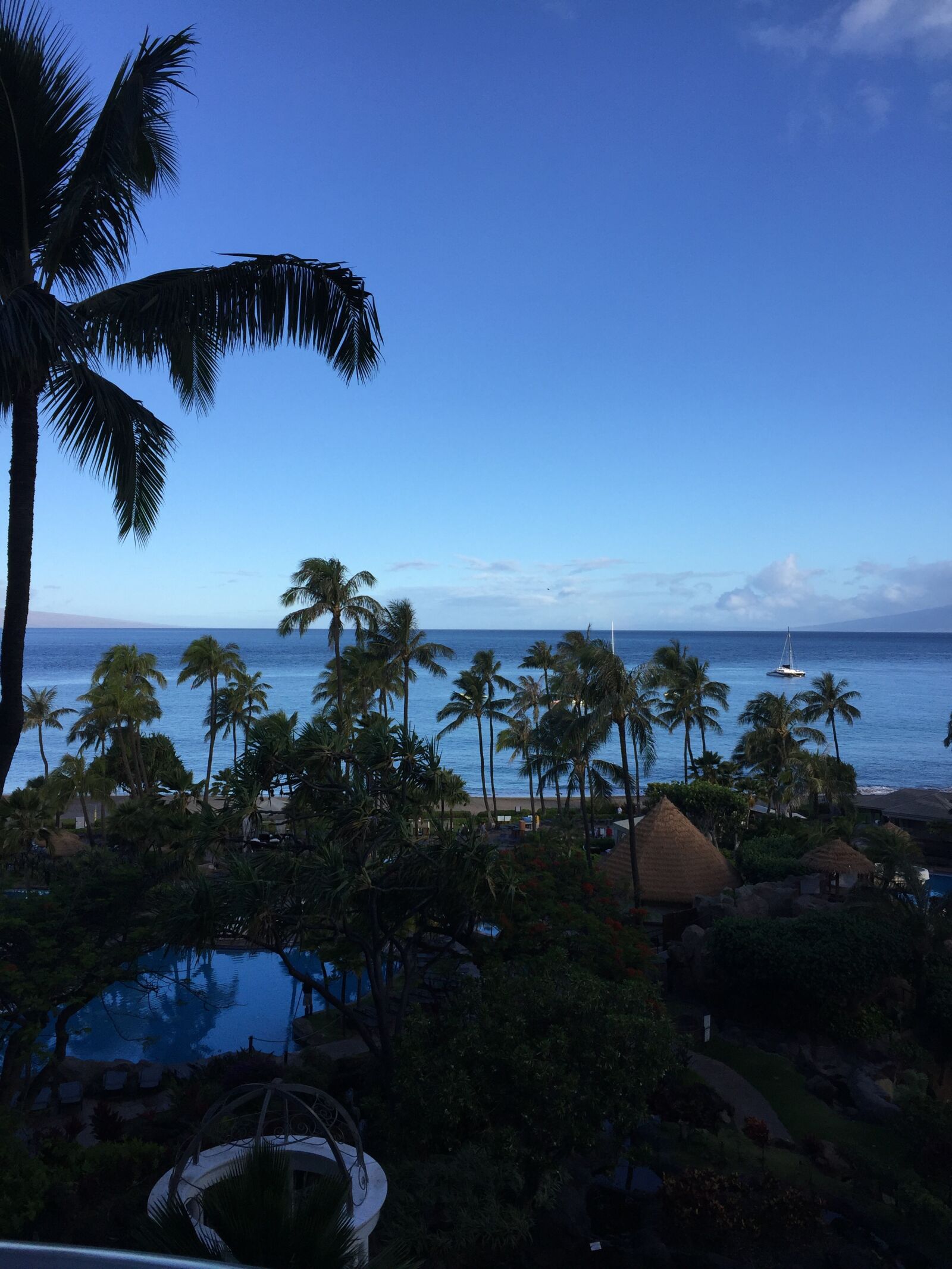 iPhone 6 Plus back camera 4.15mm f/2.2 sample photo. Palm tree, landscape, tropical photography