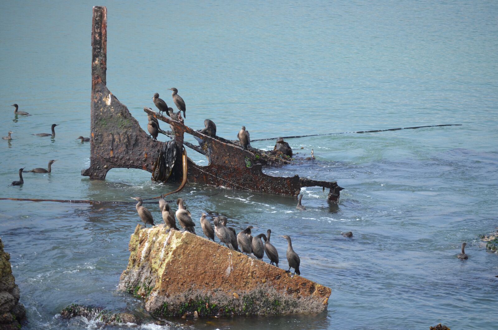 Nikon D5100 sample photo. Water, sea, ocean photography