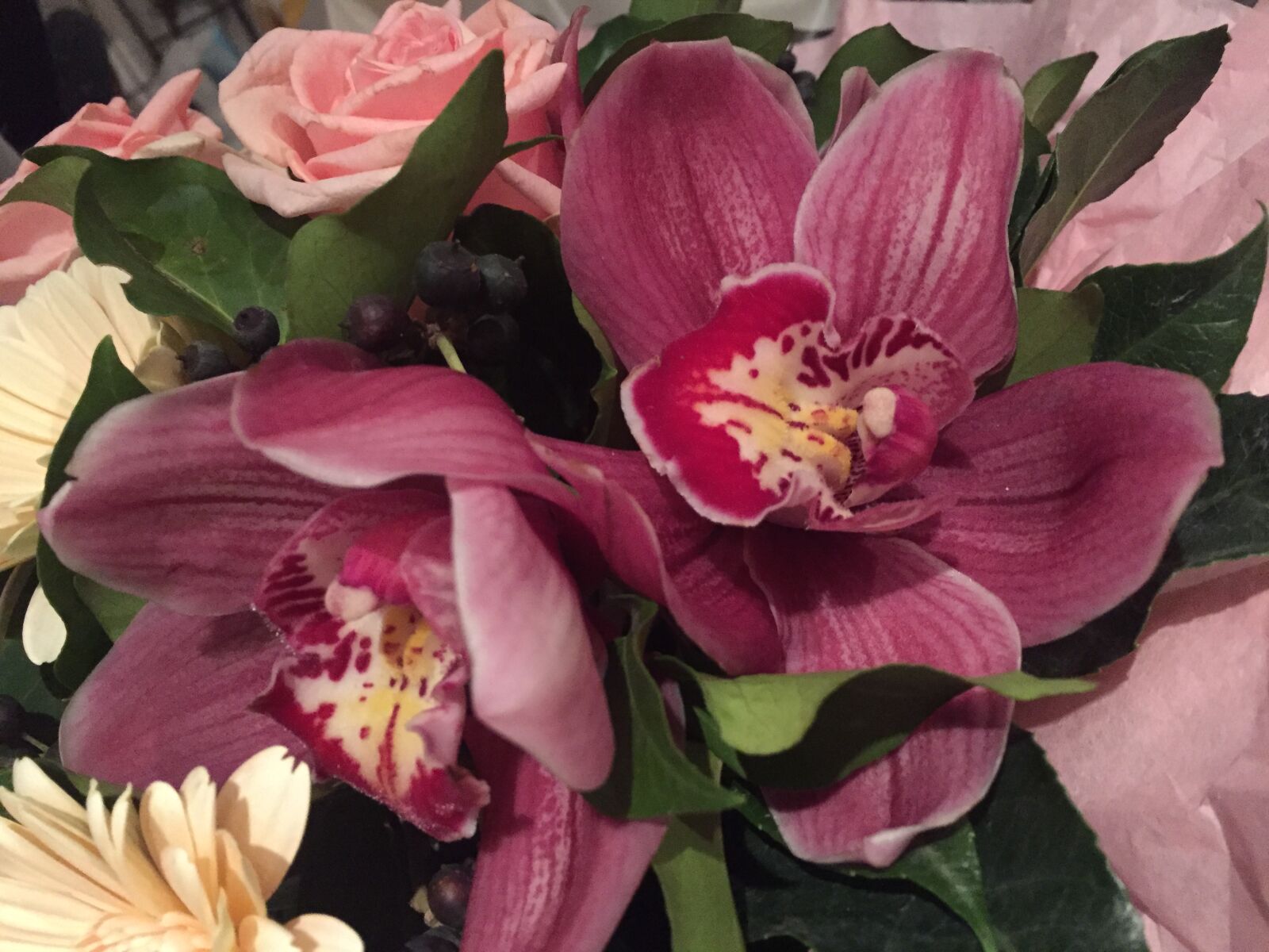 iPhone 6 back camera 4.15mm f/2.2 sample photo. Bouquet, flowers, fresh, flowers photography
