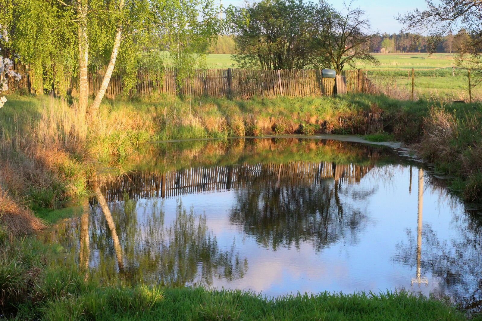 Canon EOS 1200D (EOS Rebel T5 / EOS Kiss X70 / EOS Hi) sample photo. Pond, village, water photography