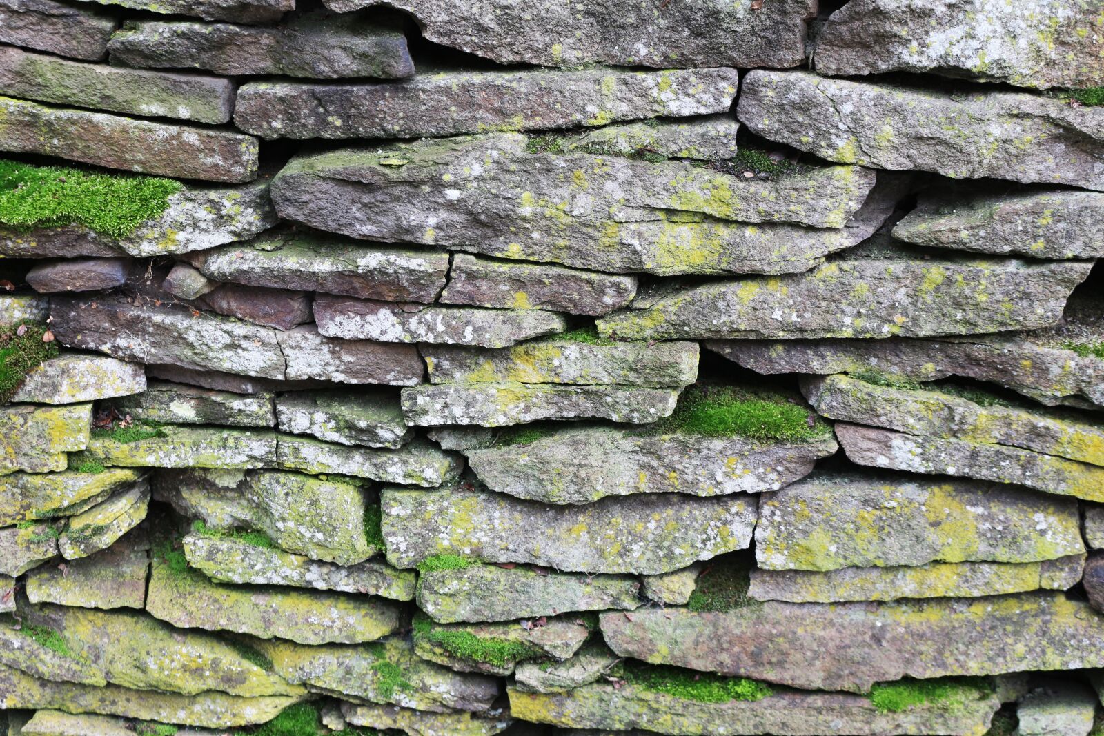 Canon EOS 700D (EOS Rebel T5i / EOS Kiss X7i) sample photo. Old, dry, stone photography